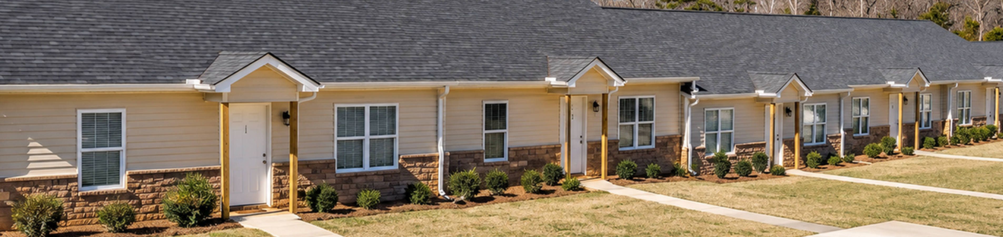 Charming row of modern single-story homes with elegant brick accents and well-manicured lawns in a serene suburban setting.
