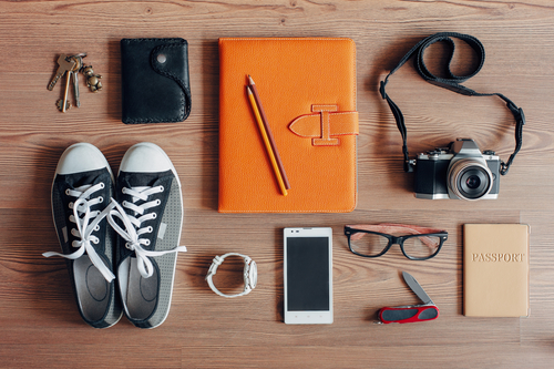 Preparing to Go on Vacation, Part I-image