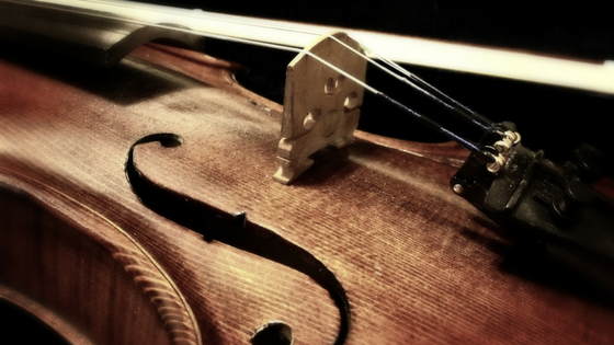 Happy Violin Day