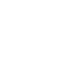 logo + apts