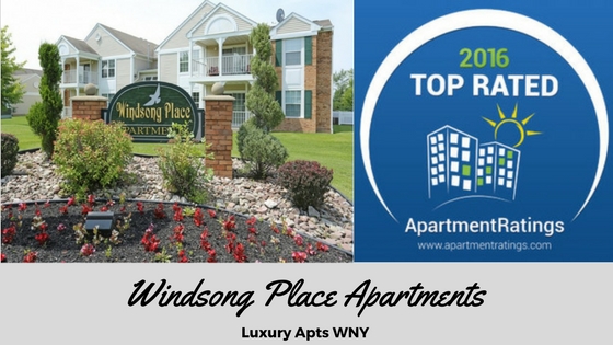 Windsong Wins-image