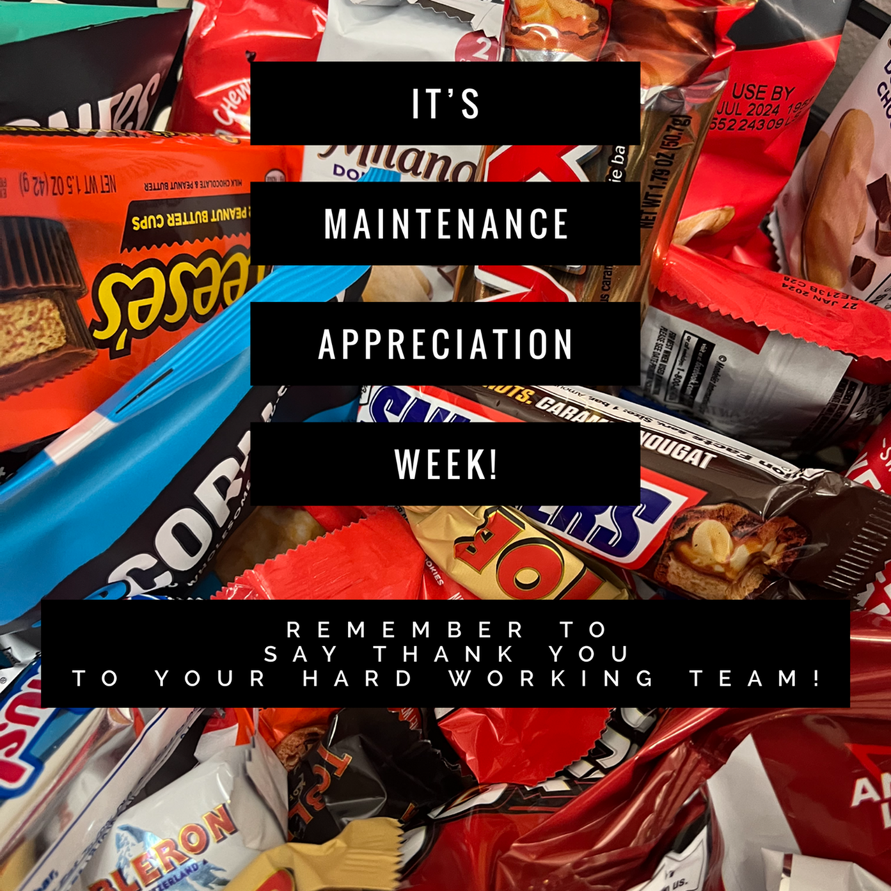 Celebrating the People Behind the Scenes: Our Maintenance Teams-image