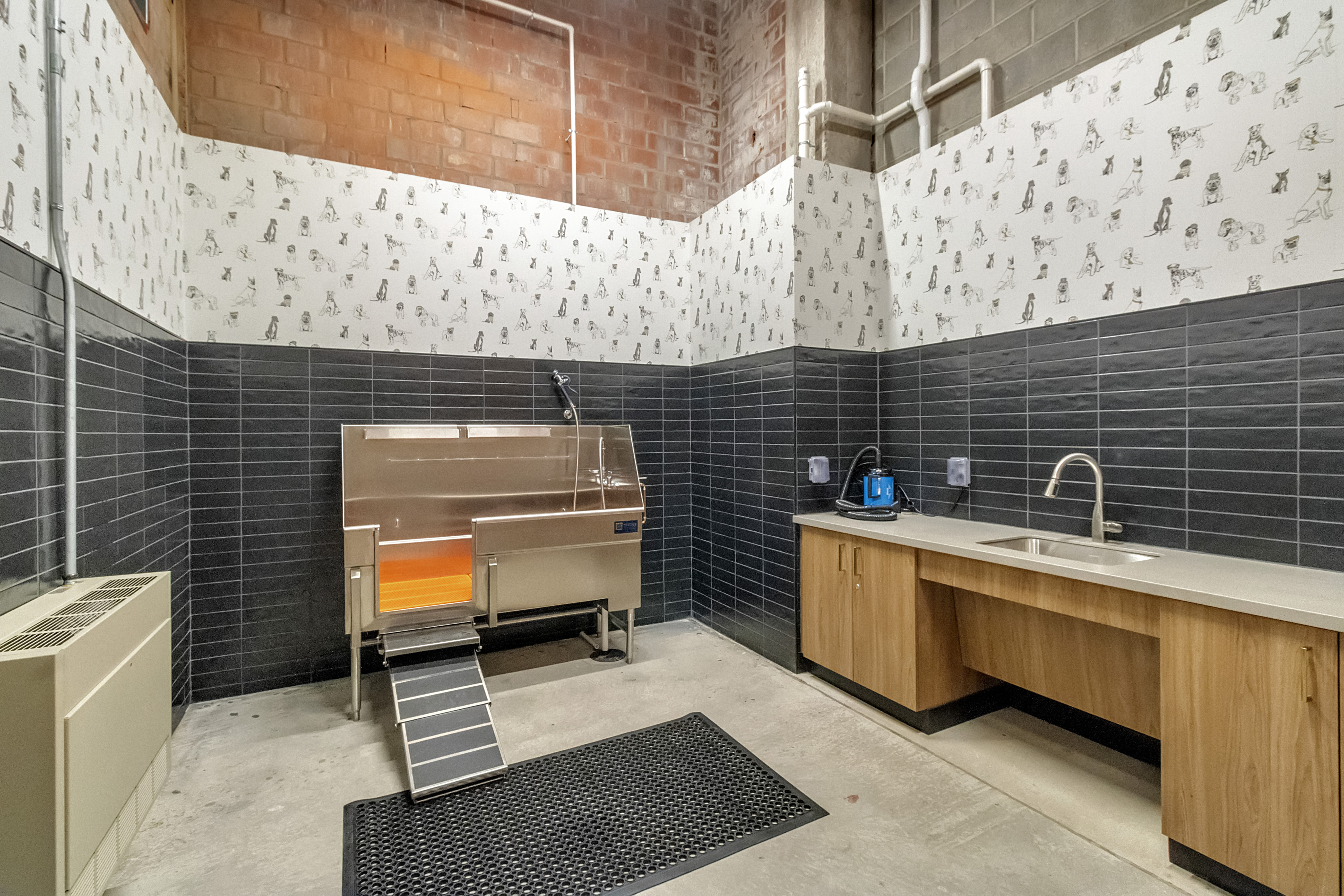 Spacious pet grooming station with modern design featuring stainless steel tub, dog-themed wallpaper, and sleek cabinetry.