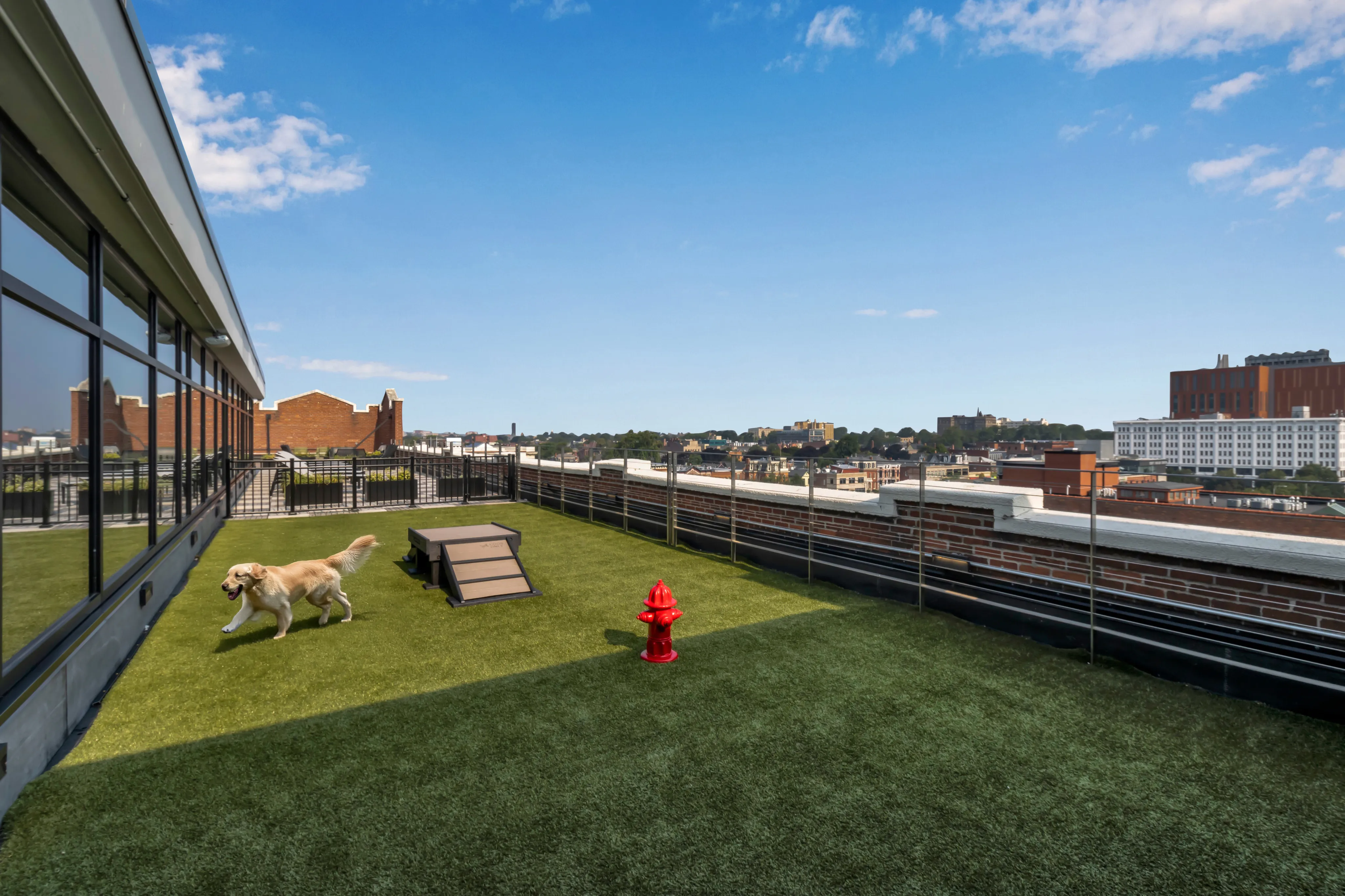 Vibrant rooftop dog play area with lush green turf, scenic city views, and a playful atmosphere perfect for pets.