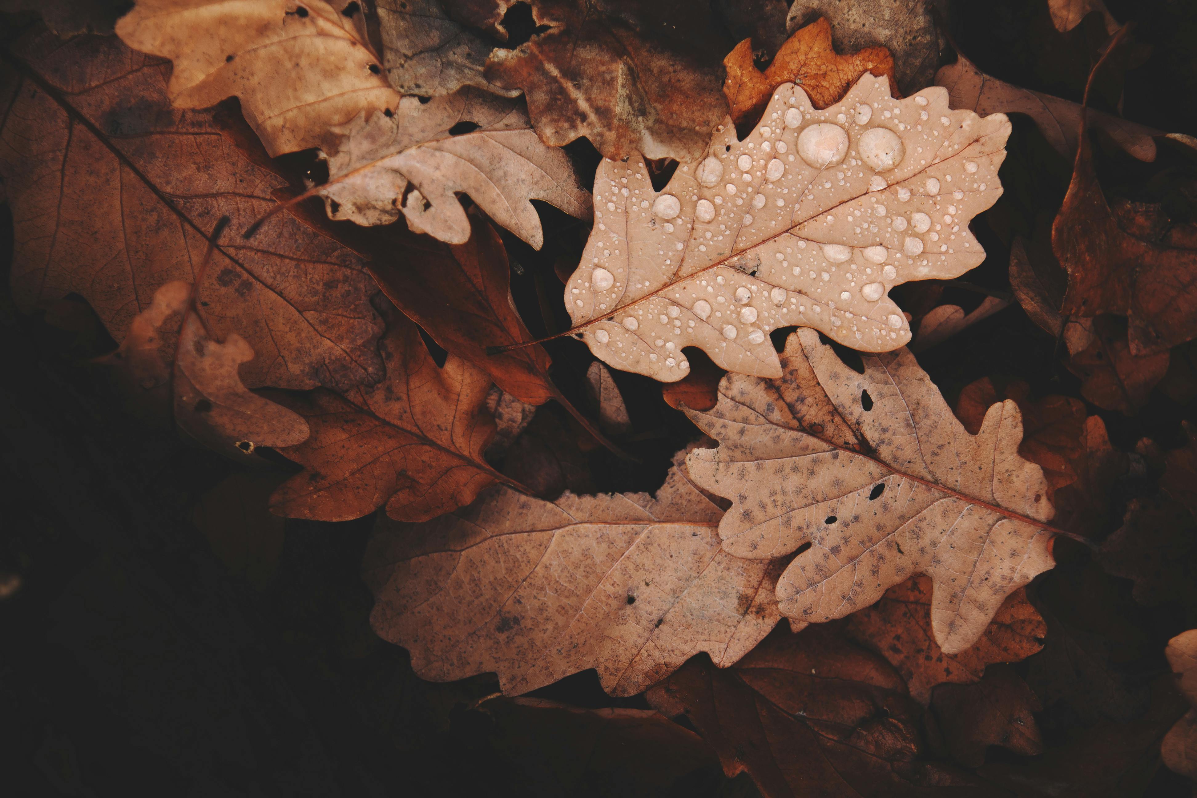 Transition Your Apartment for Fall at Hunter’s Pointe in Billings-image