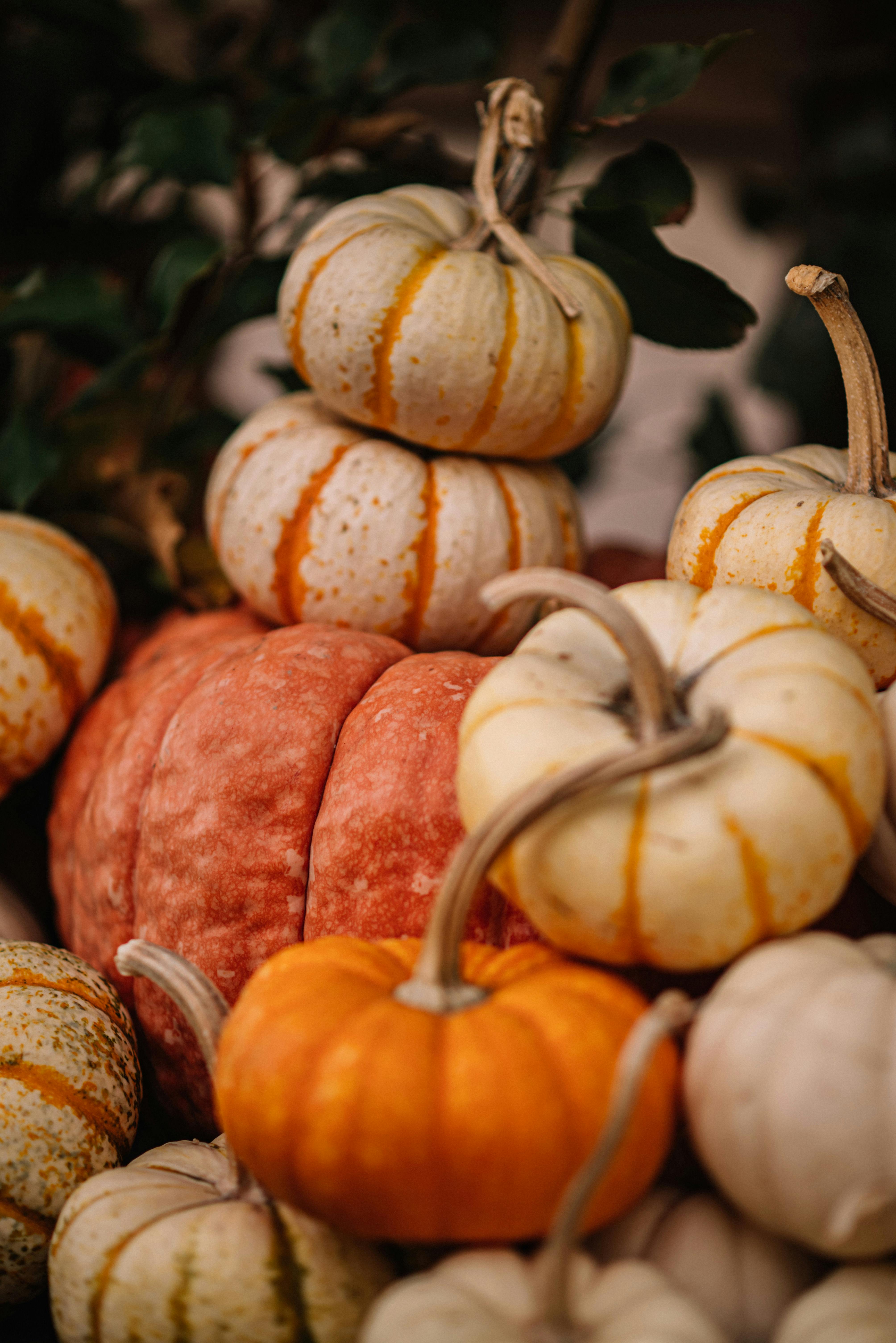 Halloween Decorating Tips for Kensington Apartments in Boise ID-image
