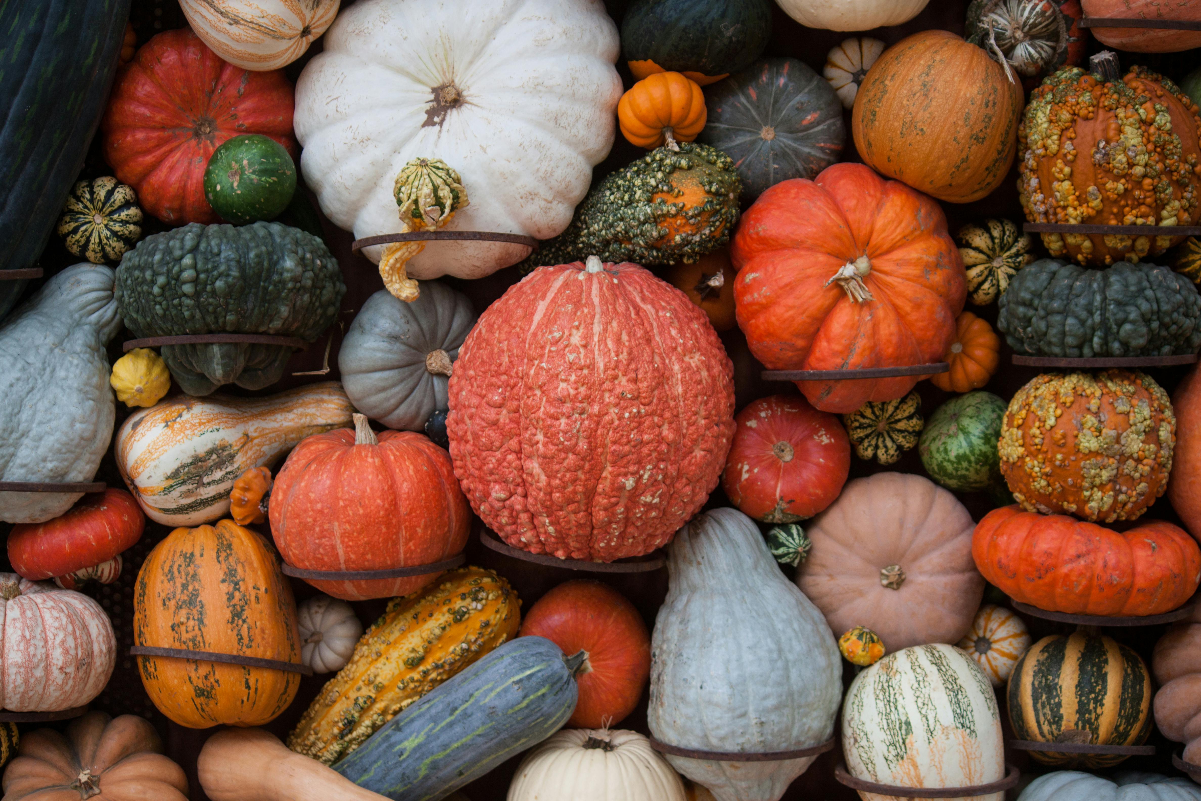 Halloween Decorating Tips for Your Billings MT Apartment-image