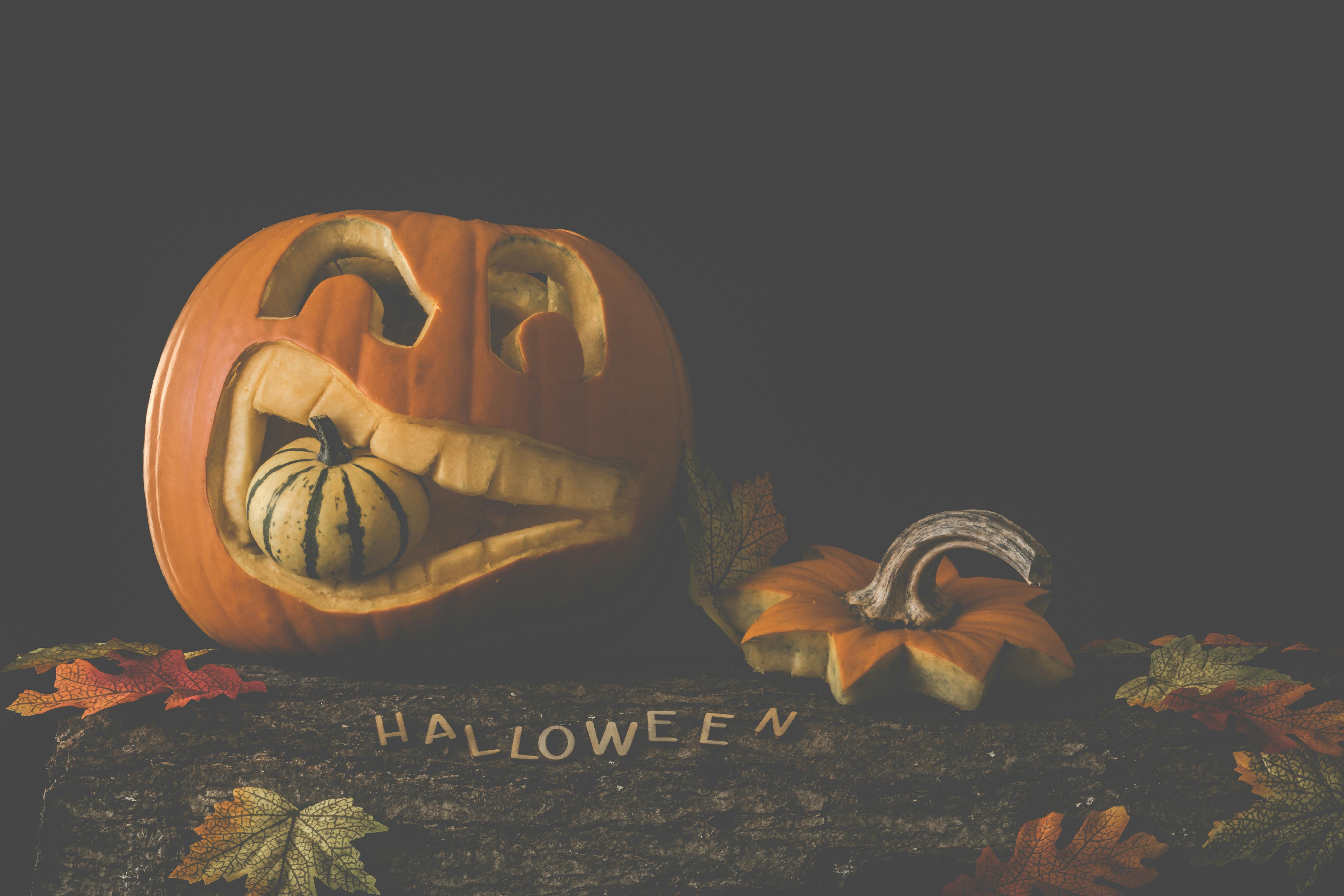 Halloween Apartment Decorating Ideas for St. George-image