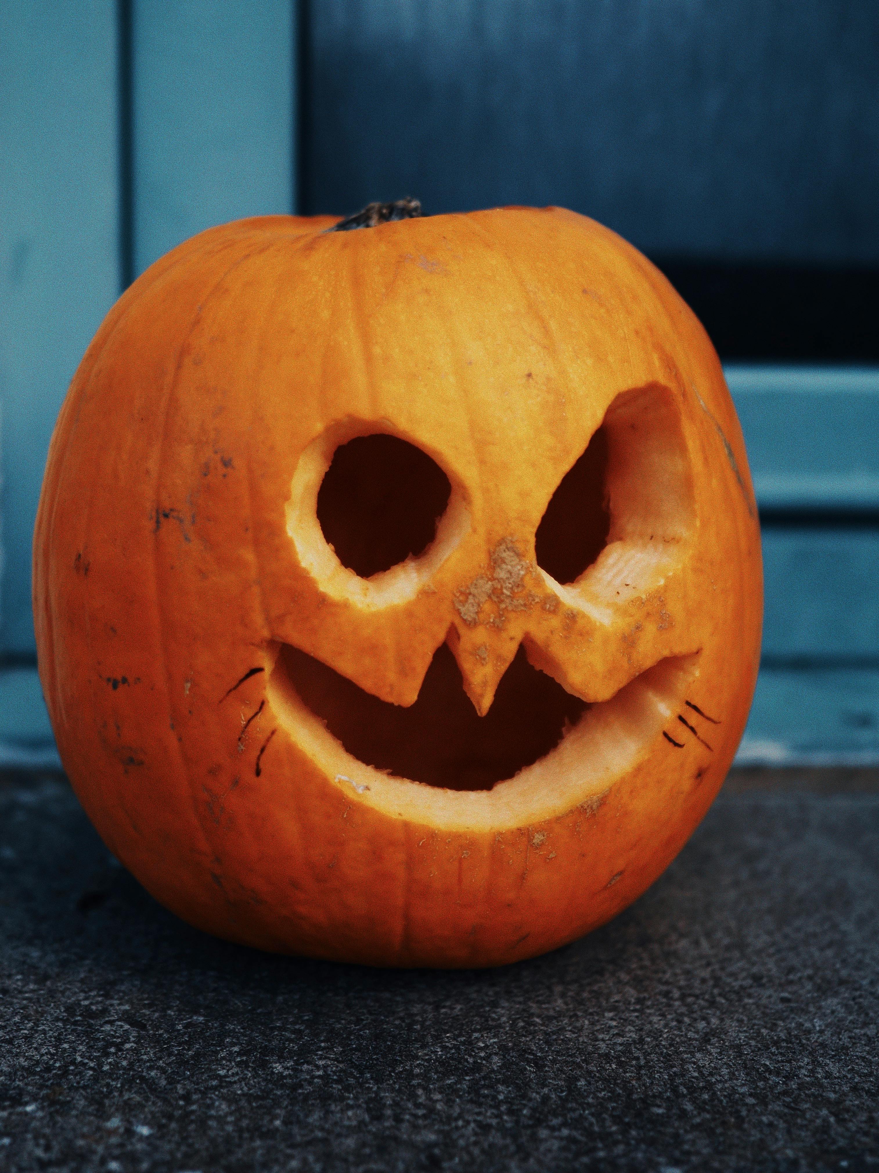 Your Guide to a Cozy Halloween Night at Steeplechase Apartments in Kansas City-image