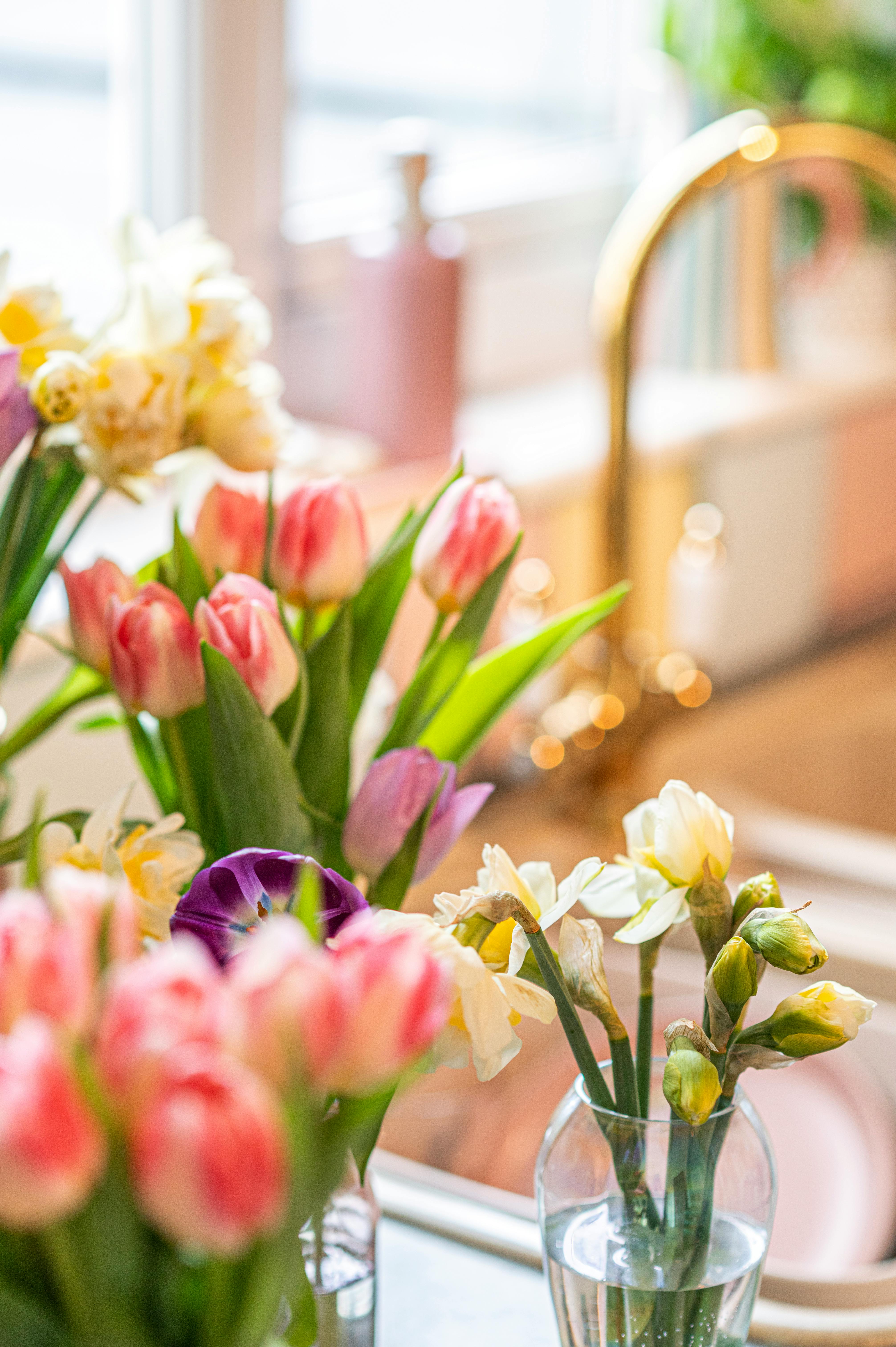 Spring Cleaning and Feng Shui Ideas for Renters at The Station at Gateway-image