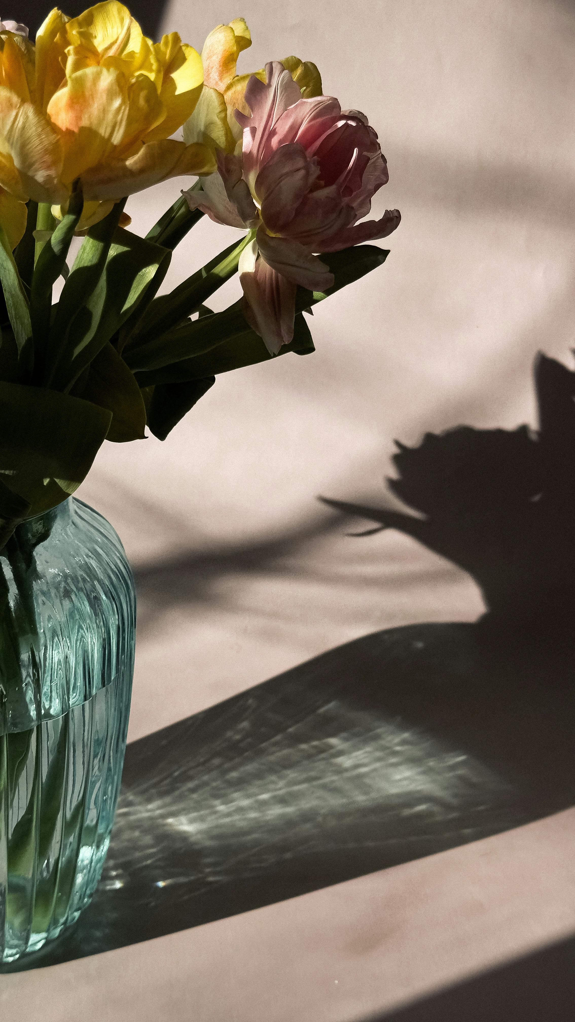 Spring Feng Shui Tips for Renters at The Regency at River Valley-image