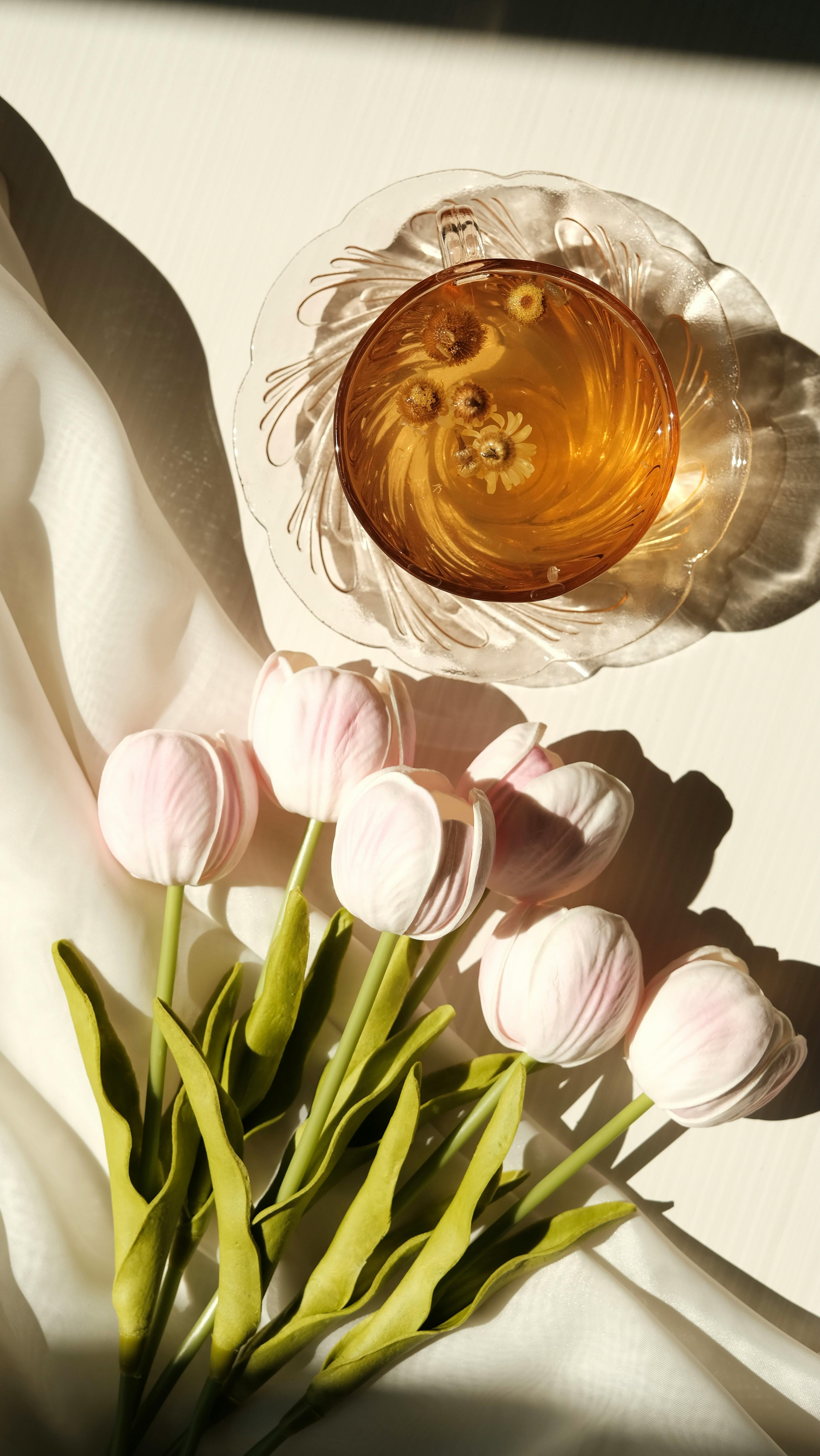 Spring Hosting Tips for Apartment Renters at Carrington Square in Taylorsville, UT-image