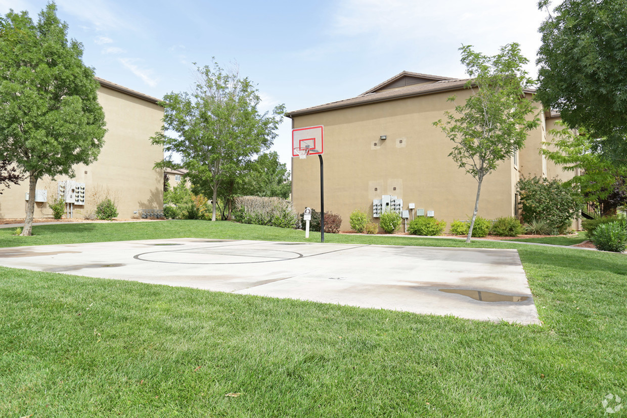 Cement Basketball Half-Court surrounded by large grass space