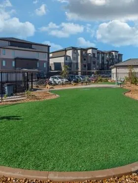 grayhawk dog park