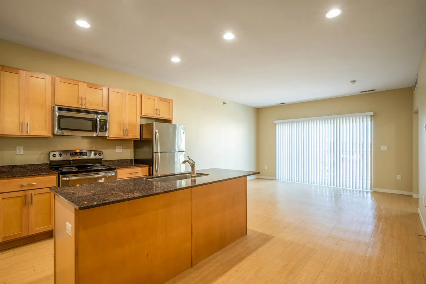 Modern open-concept kitchen and living area with stainless steel appliances, wood cabinetry, and granite countertops, featuring bright natural lighting through large sliding glass doors.
