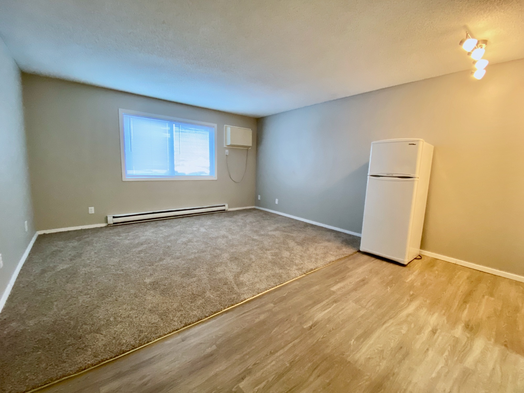 Inviting apartment interior with cozy carpeted area, elegant flooring, bright natural light from large window, and modern appliances.