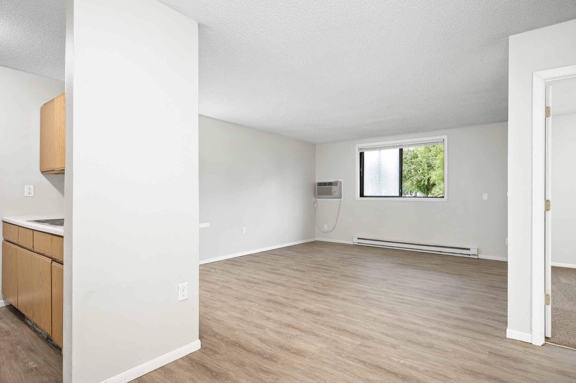 Bright, open-concept living area with modern wooden flooring and a large window for natural light.