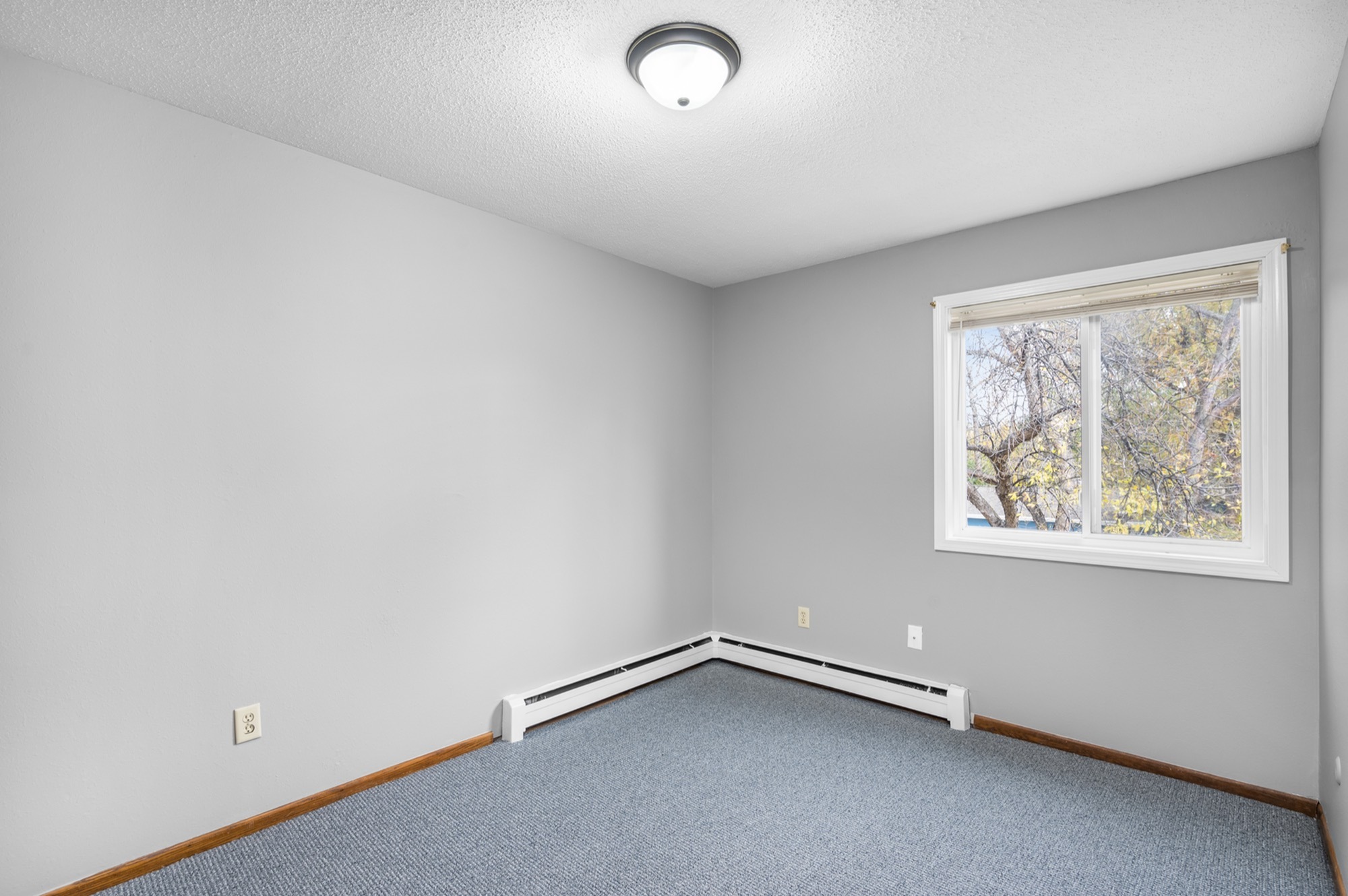 Bright and airy bedroom with fresh gray walls, soft carpeting, and a large window offering a serene view of nature.