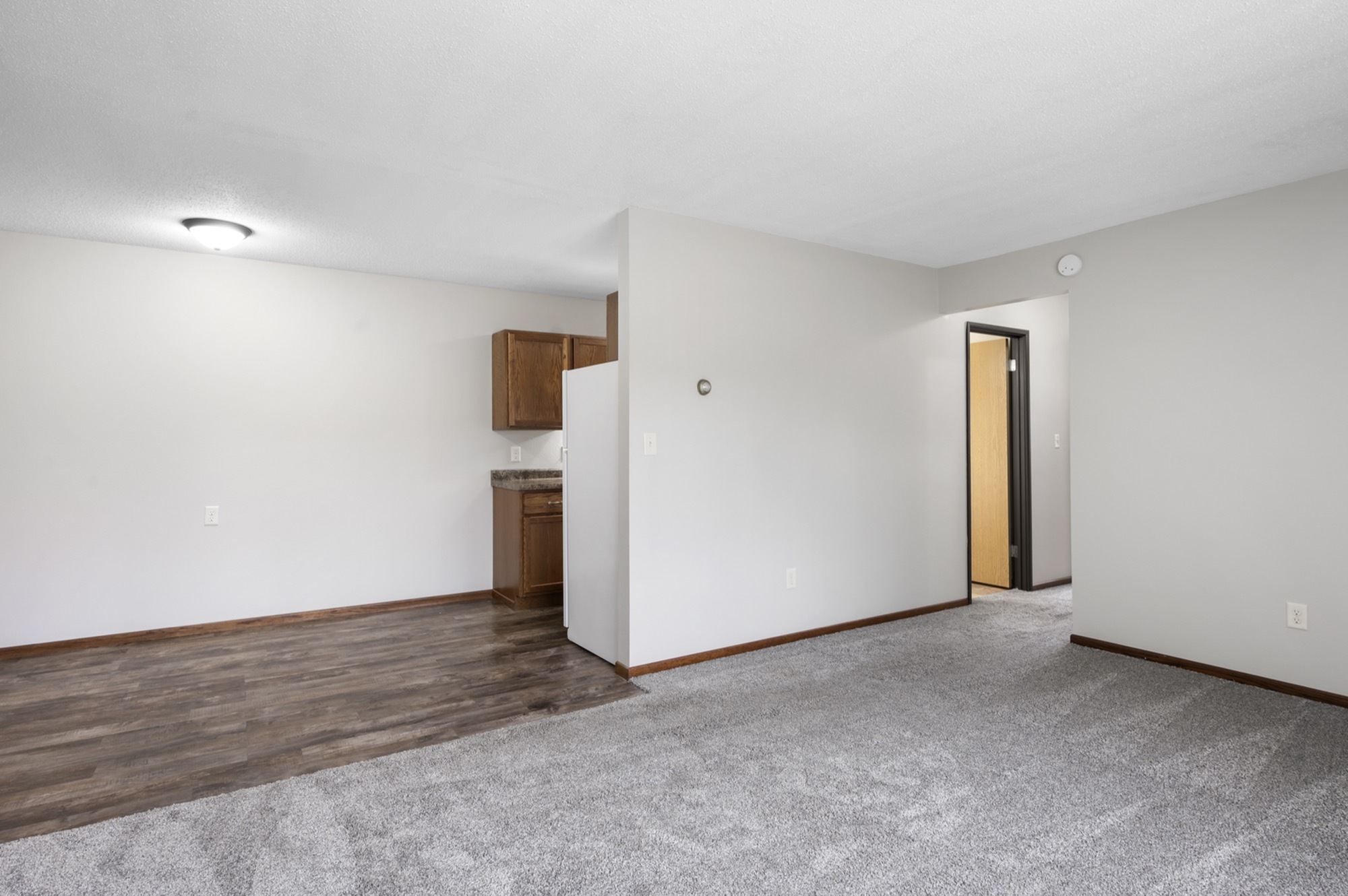 Bright and airy apartment interior featuring a seamless transition from plush carpeted floors to sleek wooden flooring, highlighting an inviting open space with a glimpse into the cozy kitchen area.