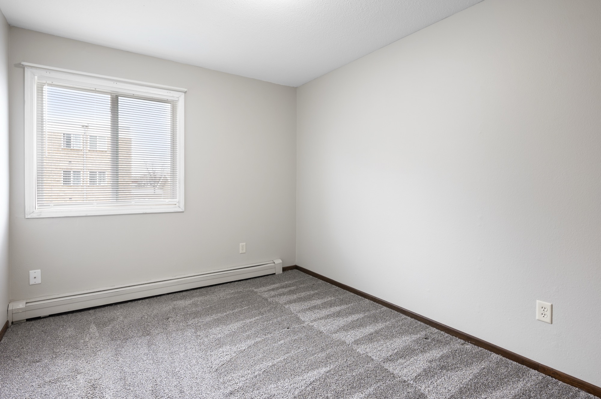 Bright, unfurnished room with plush carpet and large window, offering ample natural light and modern appeal.