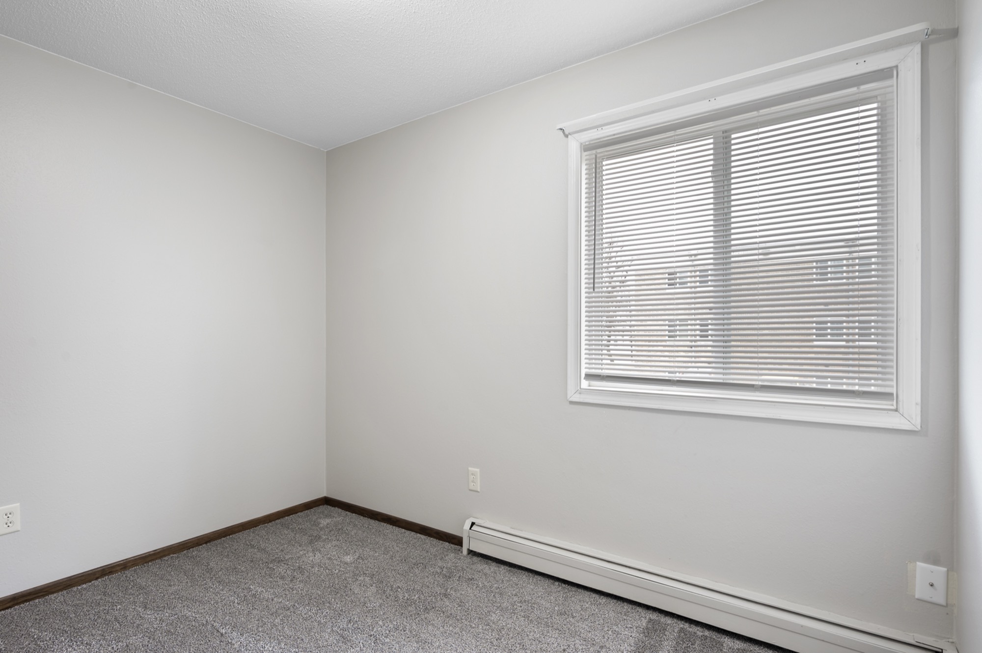 Bright and cozy empty bedroom with a large window, carpeted floor, and neutral walls, perfect for personalization.