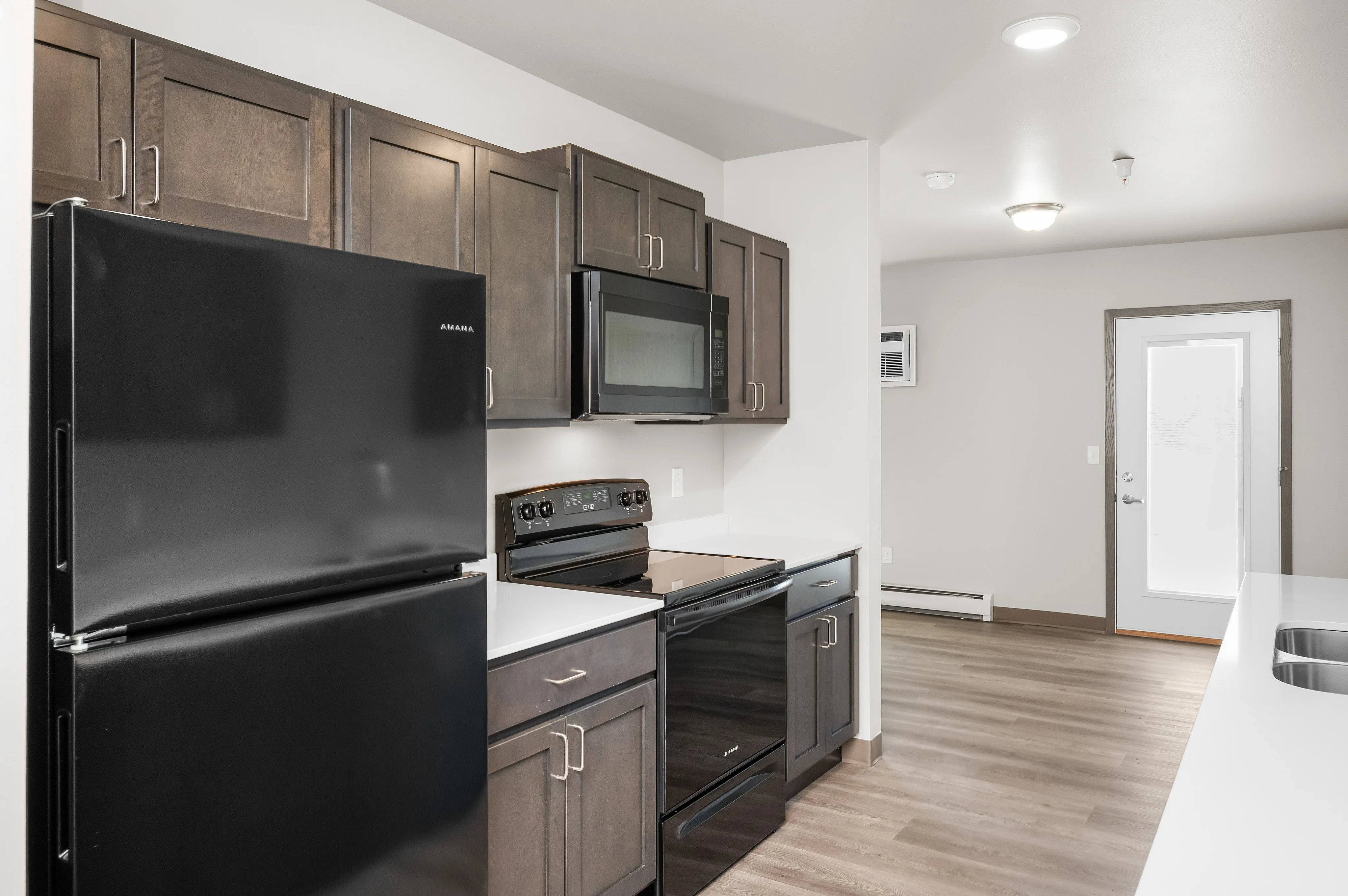 Sleek, modern kitchen with dark cabinetry, stainless steel appliances, and wood flooring, leading to a bright entryway.