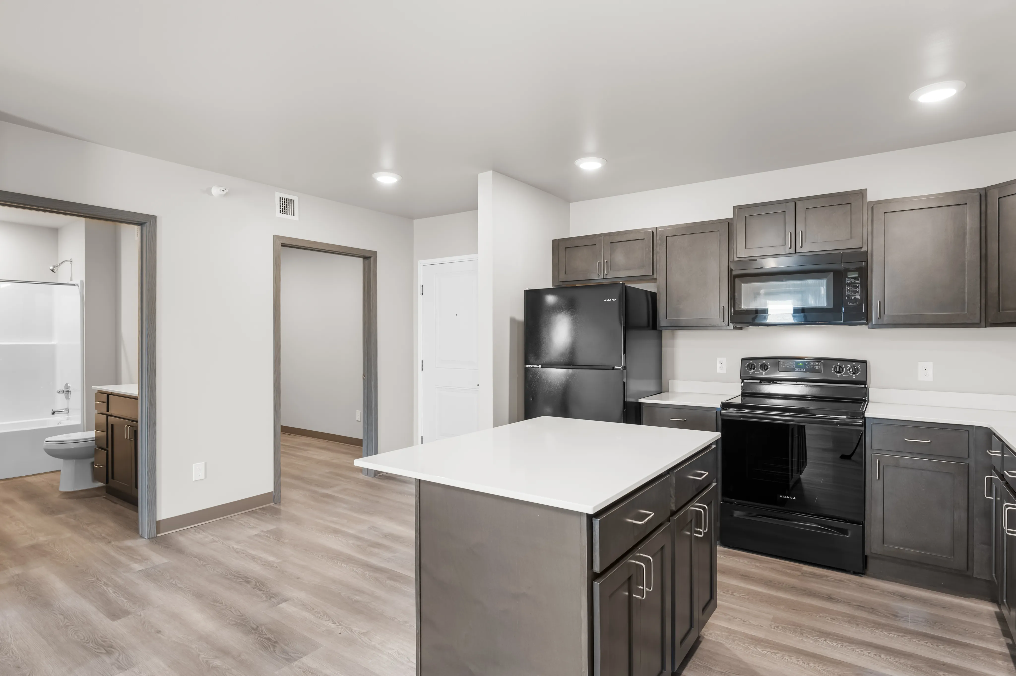Modern kitchen with sleek appliances, open layout, and adjoining bathroom. Features stylish cabinetry and spacious countertops.