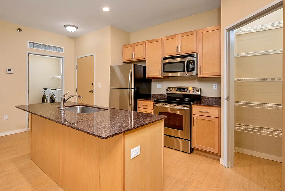 Modern kitchen with sleek stainless steel appliances, granite countertops, and a spacious pantry, perfect for home cooking enthusiasts.