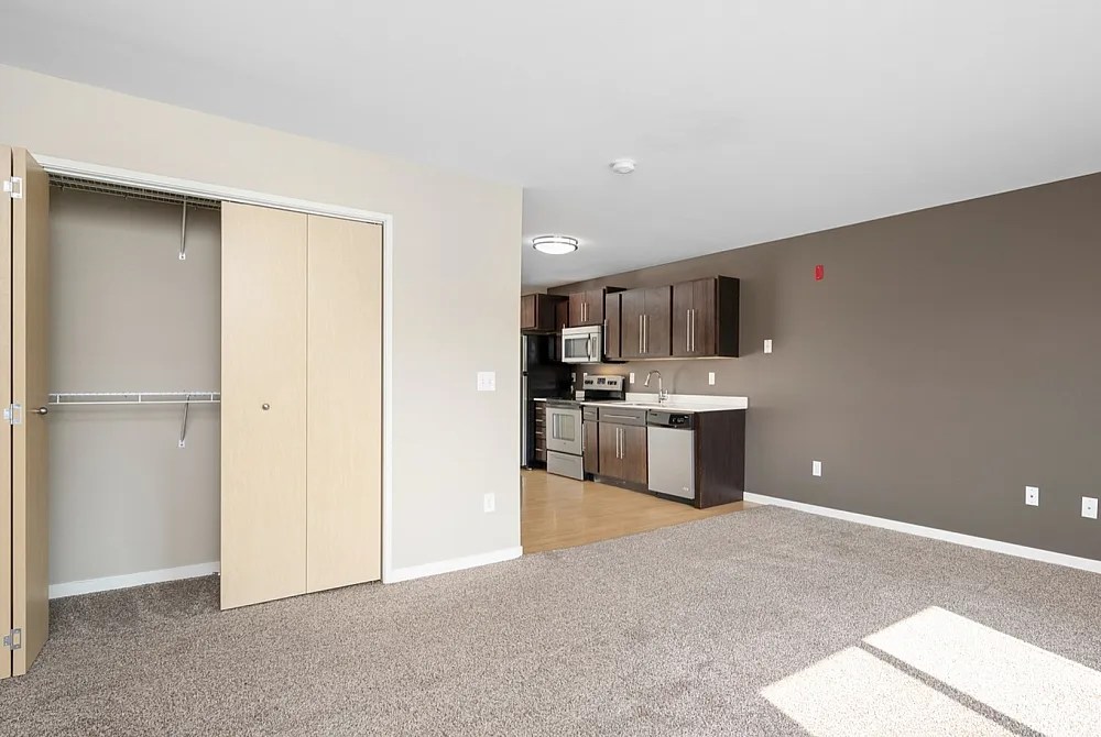 Bright open-plan living space with modern kitchen, stainless steel appliances, and plush carpet flooring.