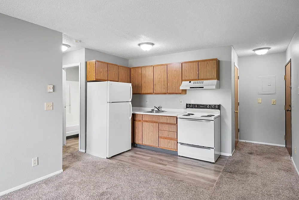 Inviting open-concept kitchen with modern appliances, cozy carpeted flooring, and natural light enhancing the welcoming atmosphere.