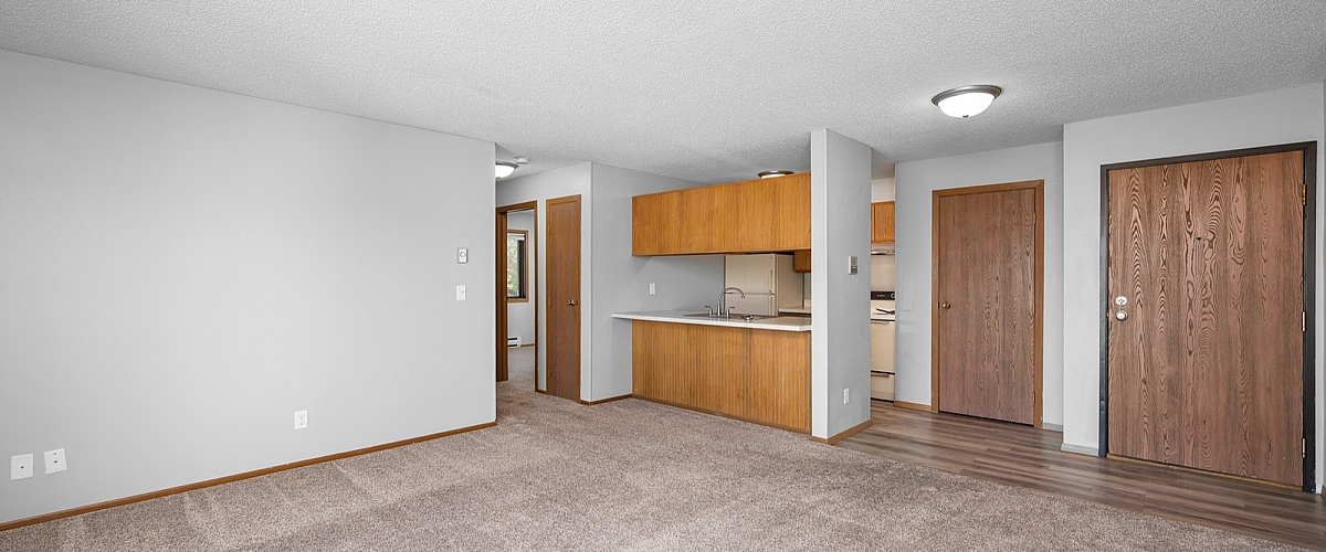 Spacious apartment living room featuring plush carpeting, open-concept kitchen with wooden accents, and modern lighting.