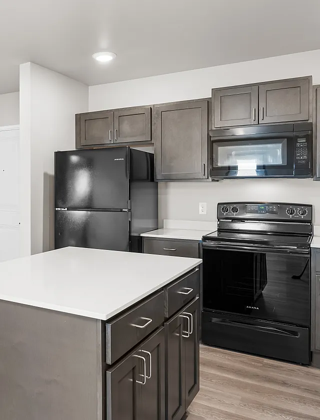 Modern apartment kitchen with sleek black appliances, elegant wooden cabinets, and a spacious island counter.