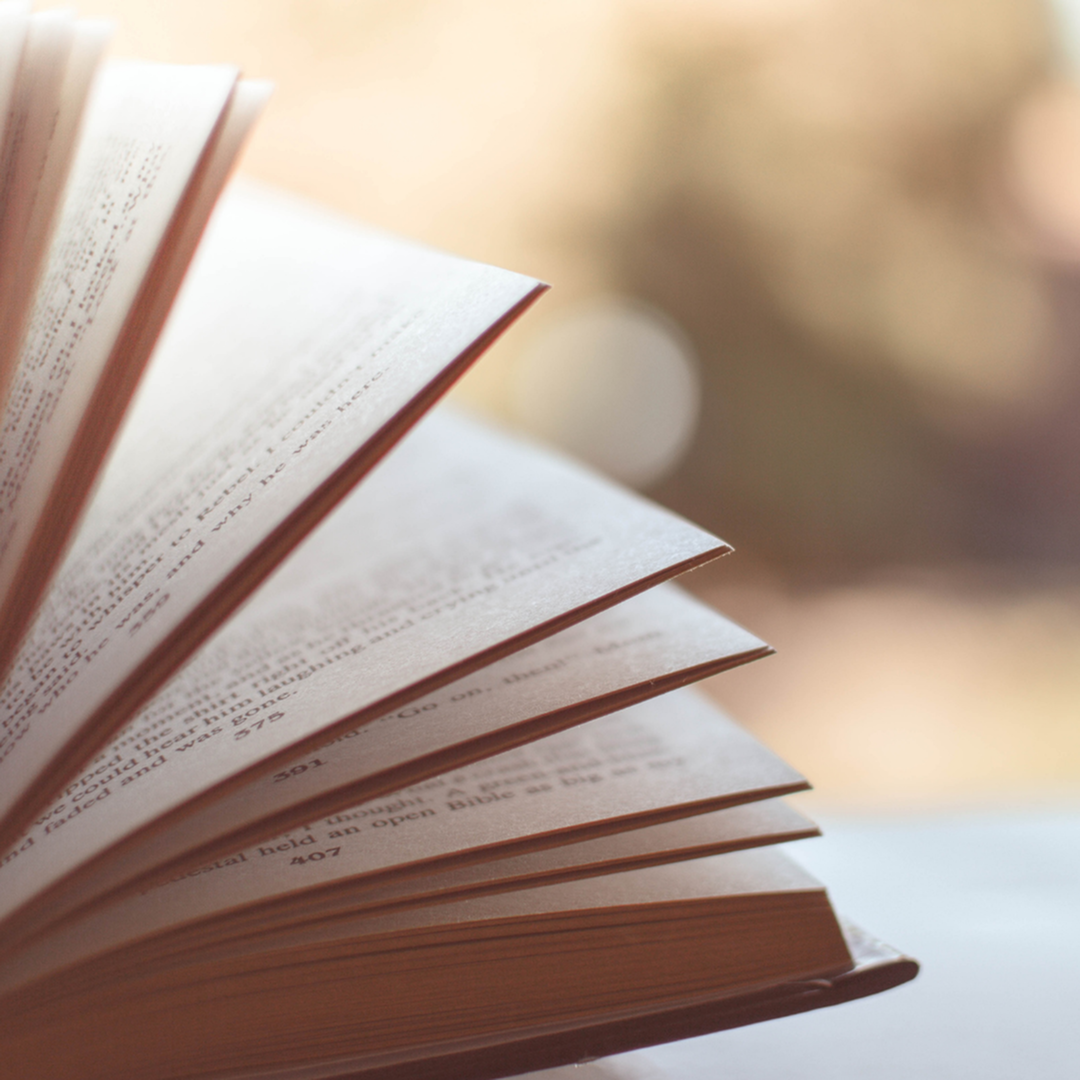 Curl Up with A Great (Apartment) Book-image