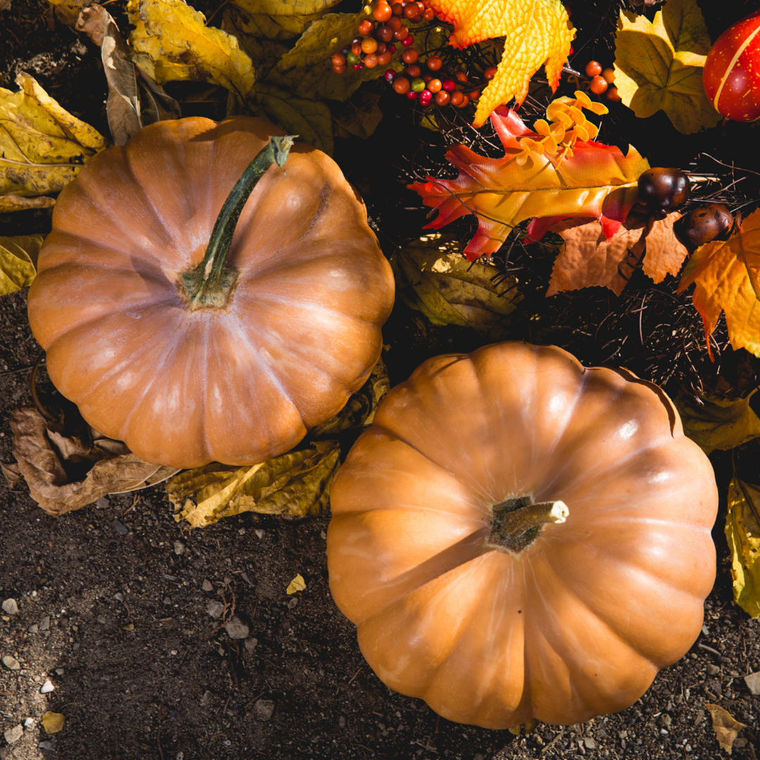 Fun October Events in Carroll County, MD-image
