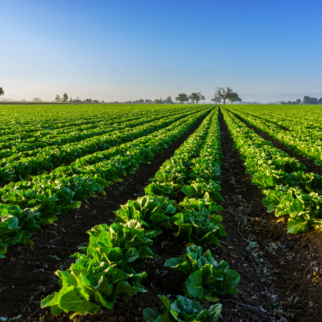 Top 10 Things that Make Carroll County Living Great-image
