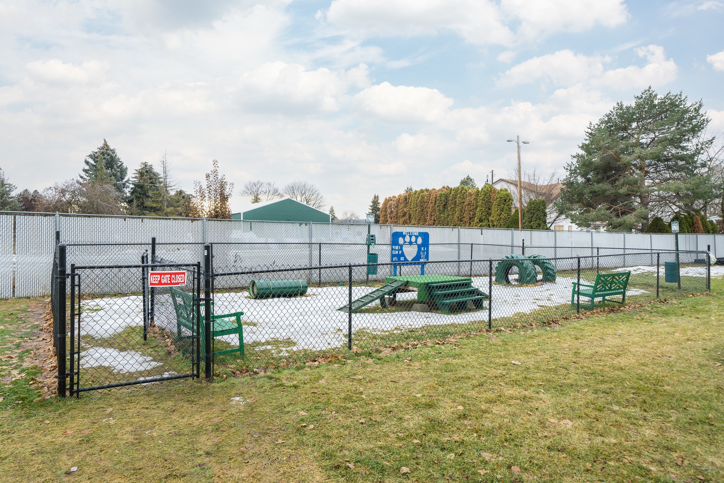 Dog Park