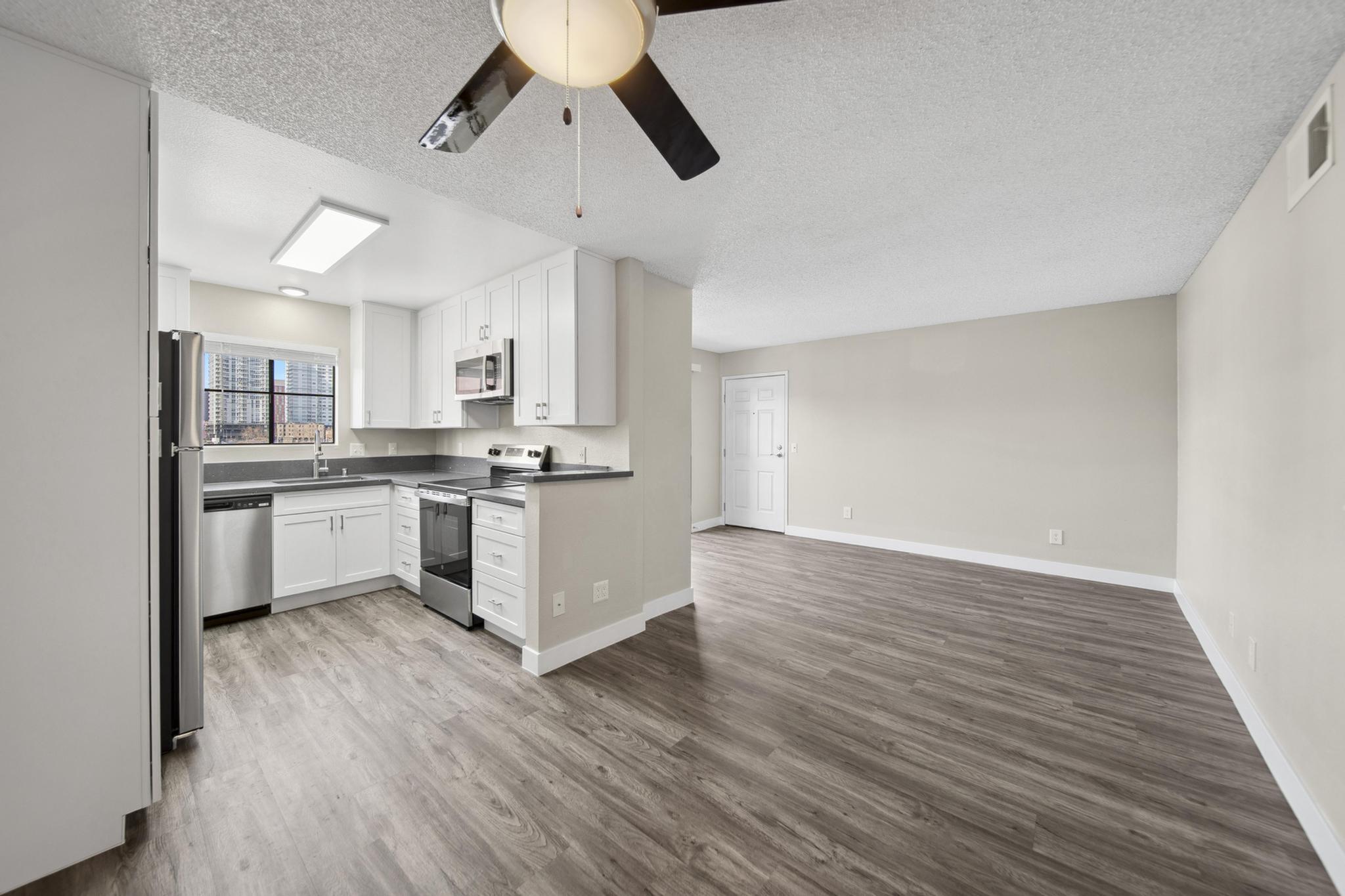 Kitchen/Living Space