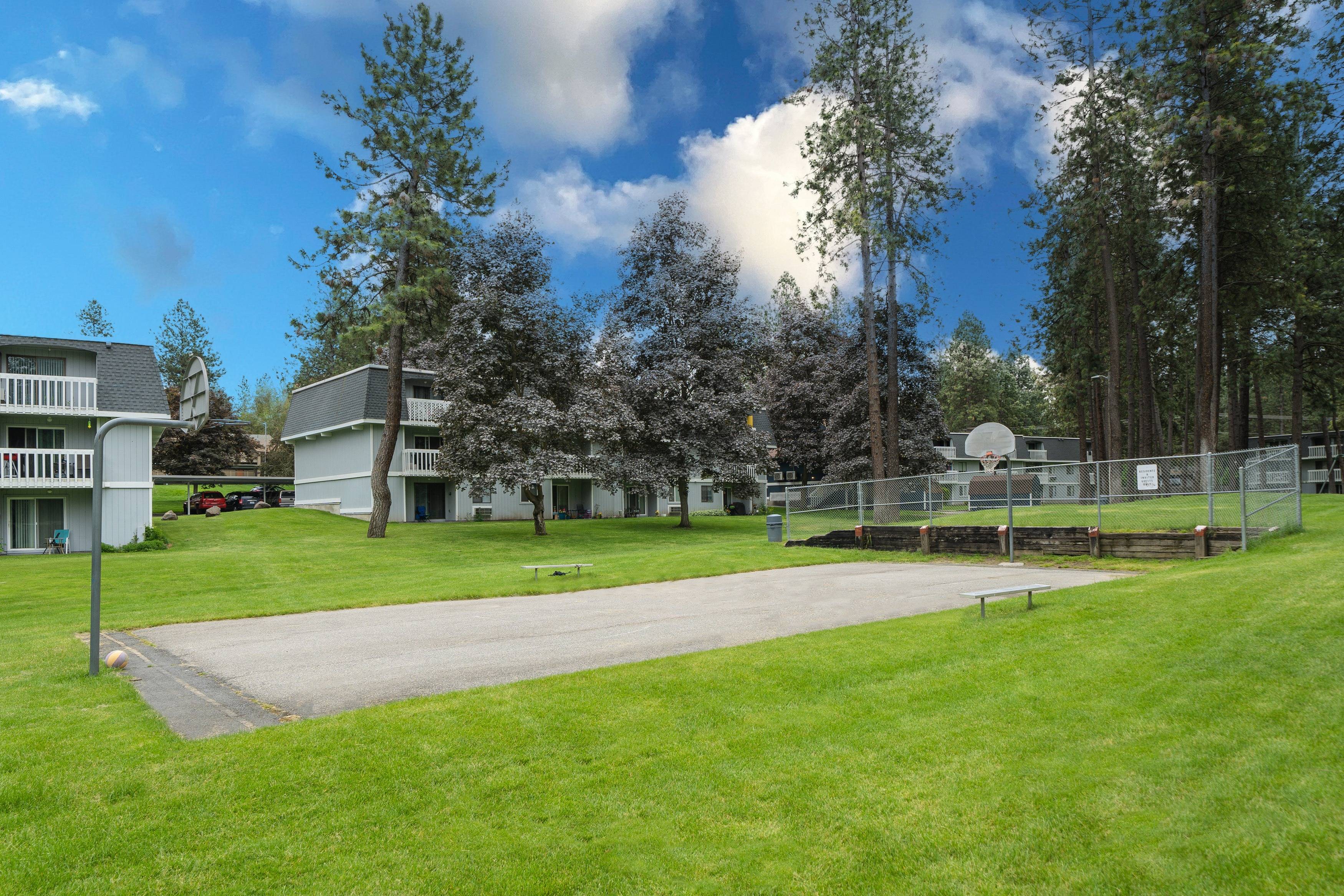 Basketball Court