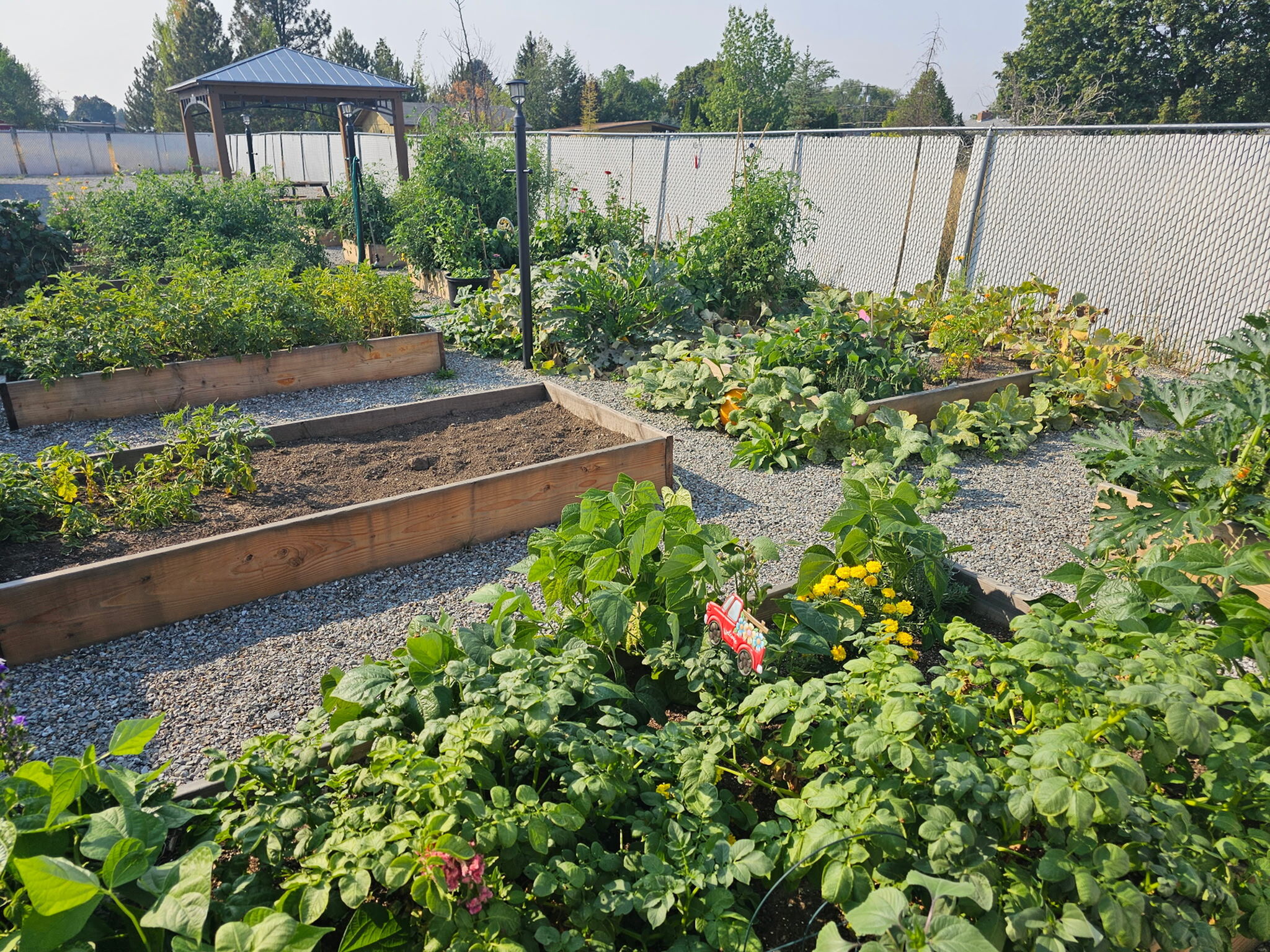 Image of Community Garden for Willowbrook Apartments