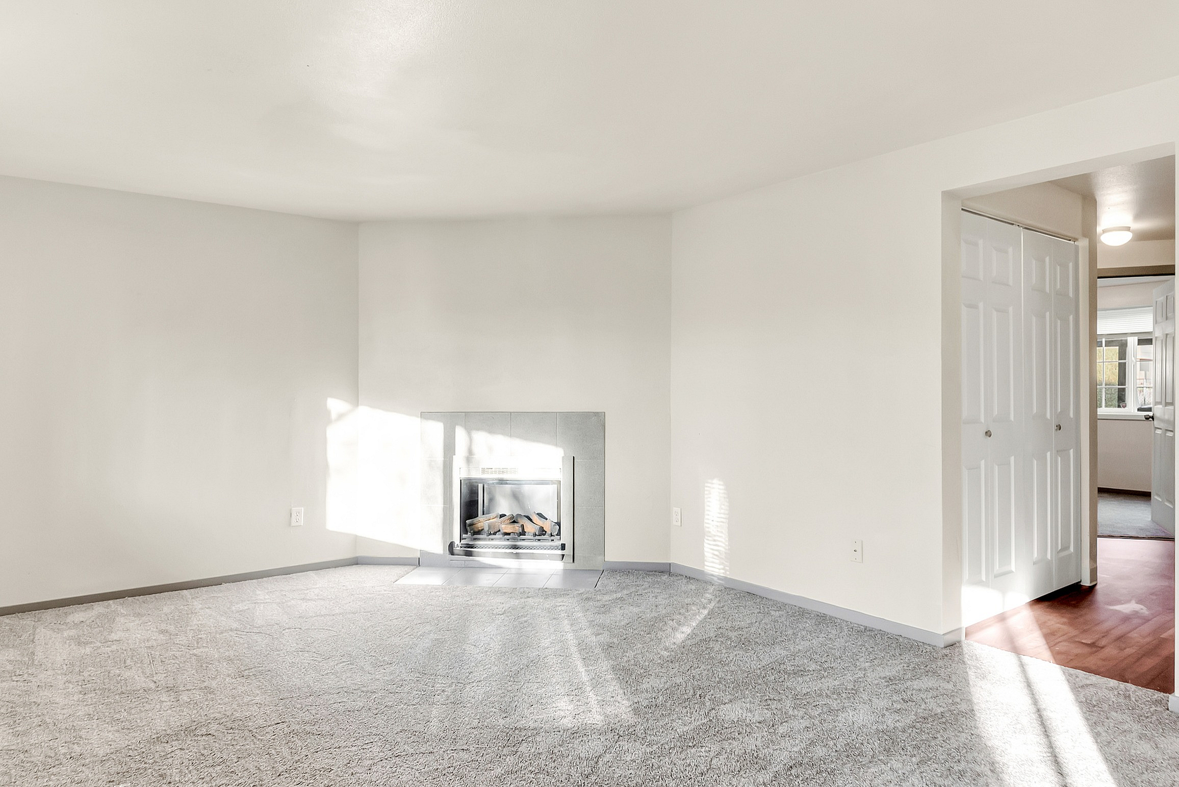 Image of Fireplace in select units for The Bing