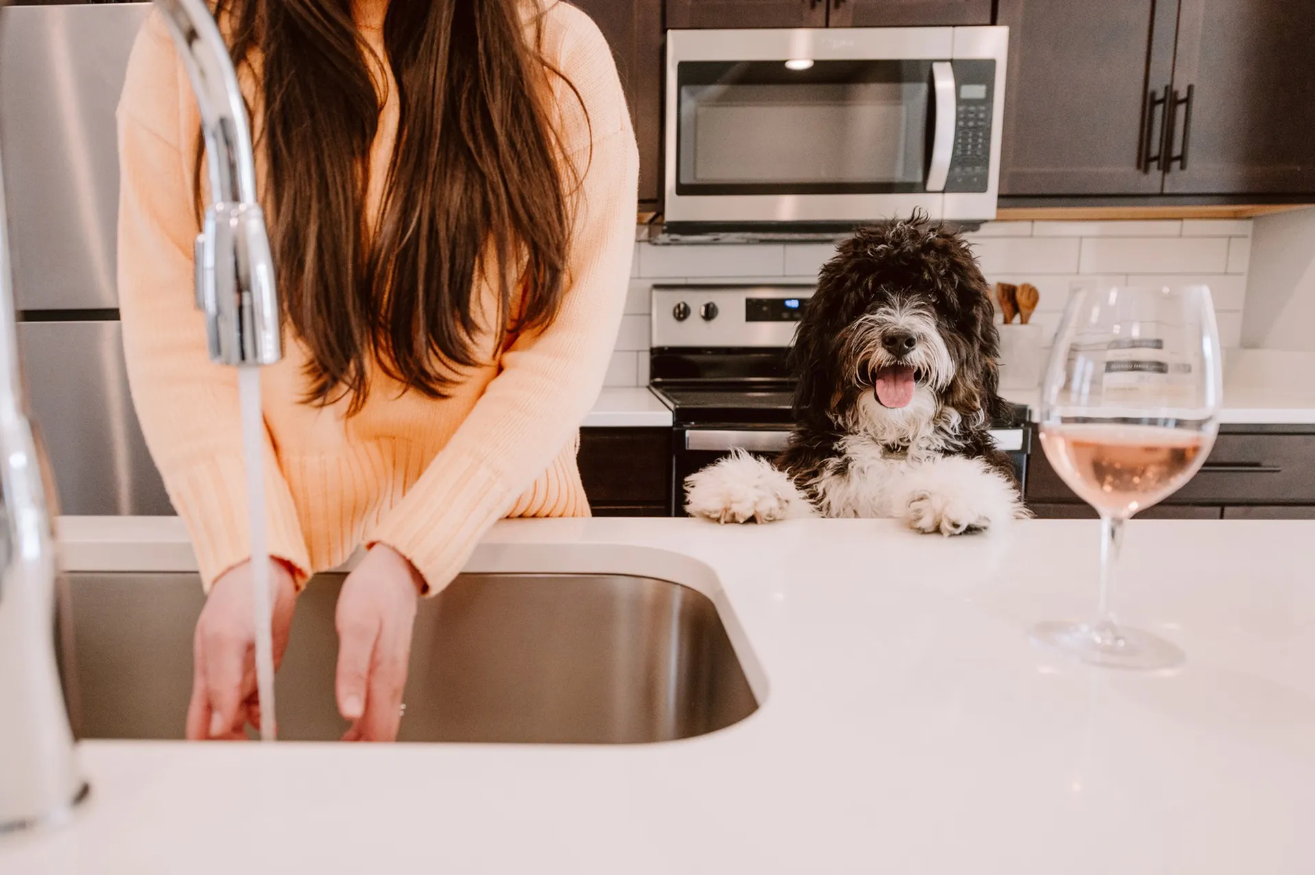 Pet-friendly community