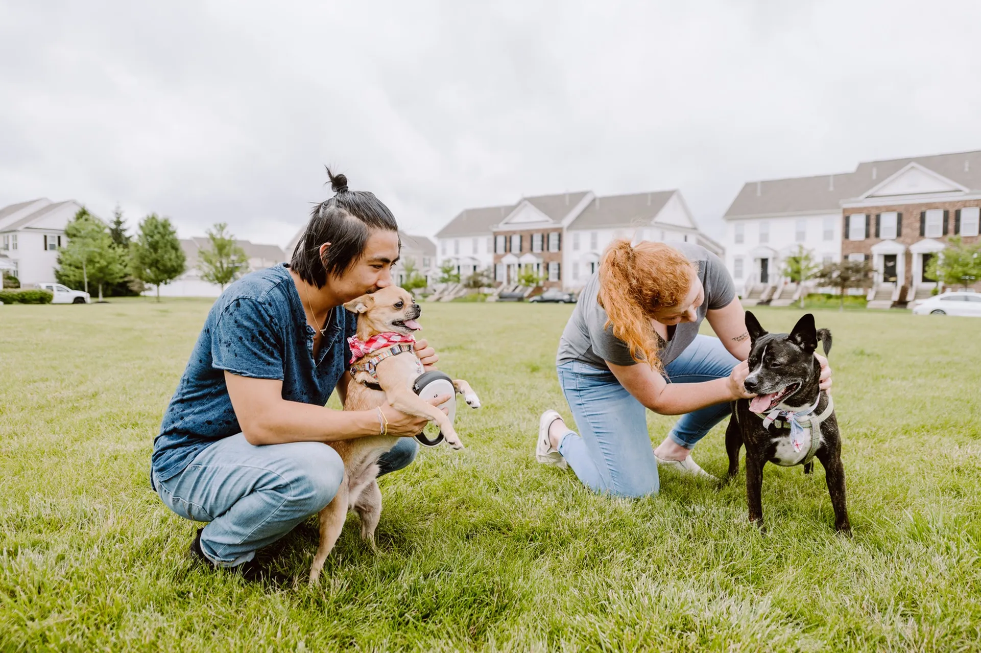 people playing with their dogs