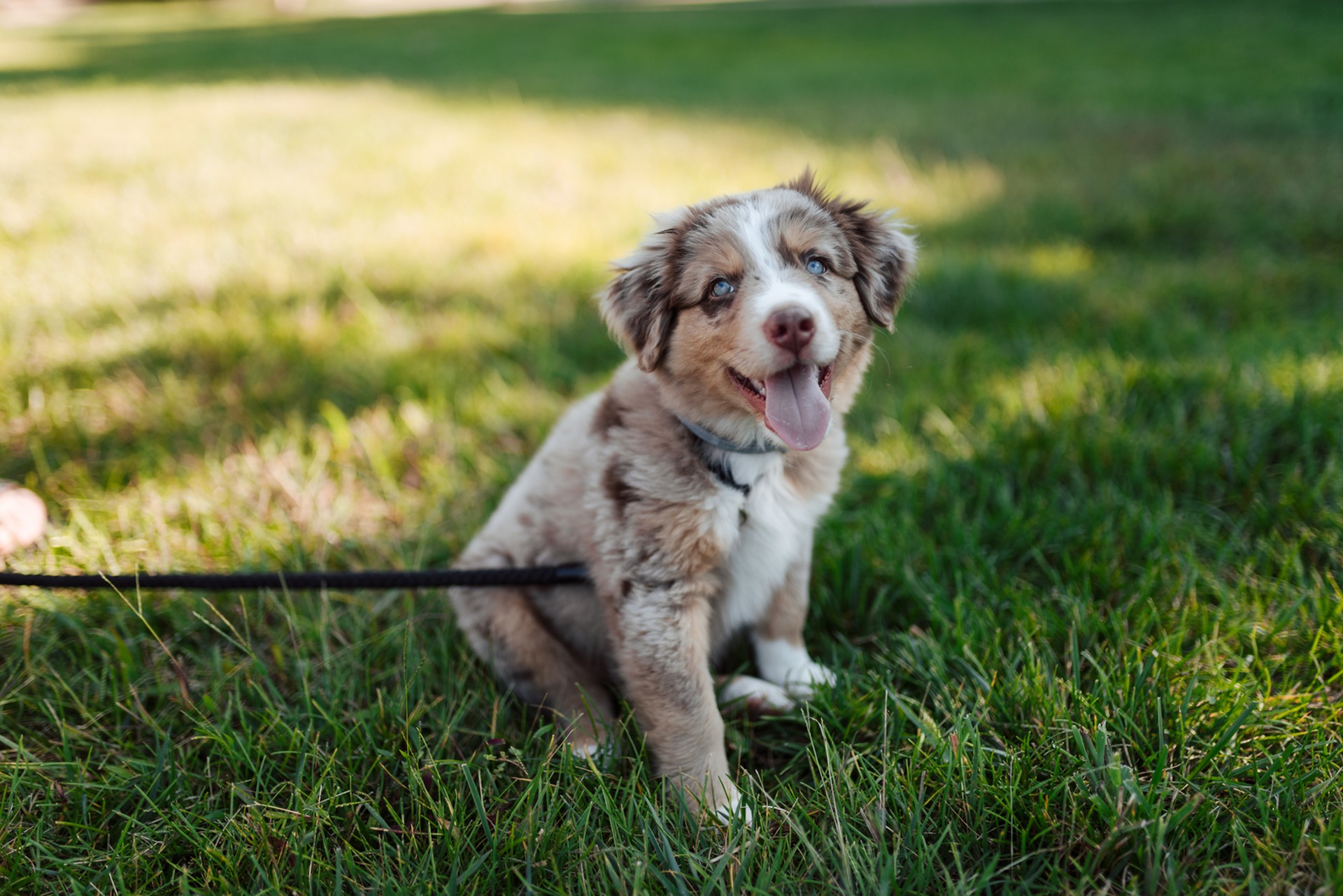 View Our Amenities LC Murfreesboro