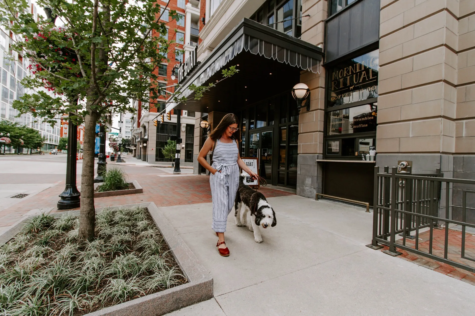 pet walking at lc riversouth apartments