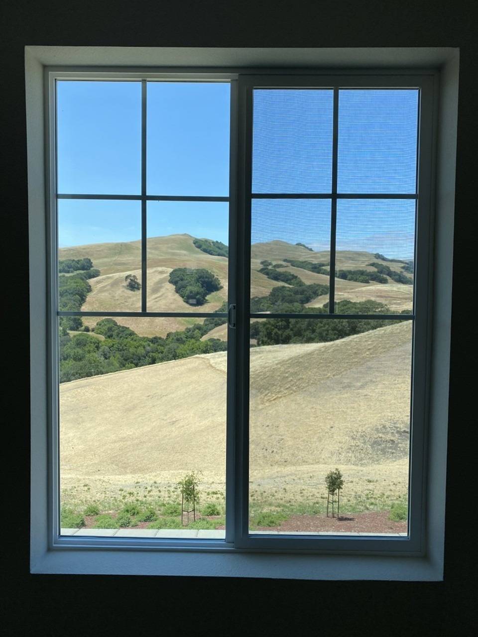 View