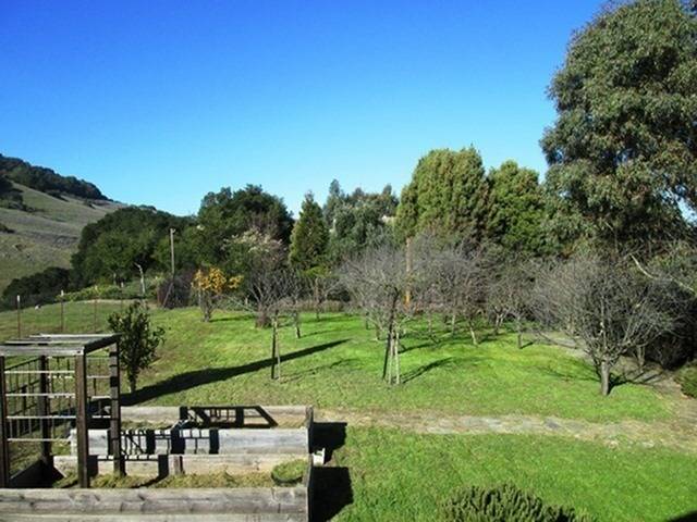 Side Yard