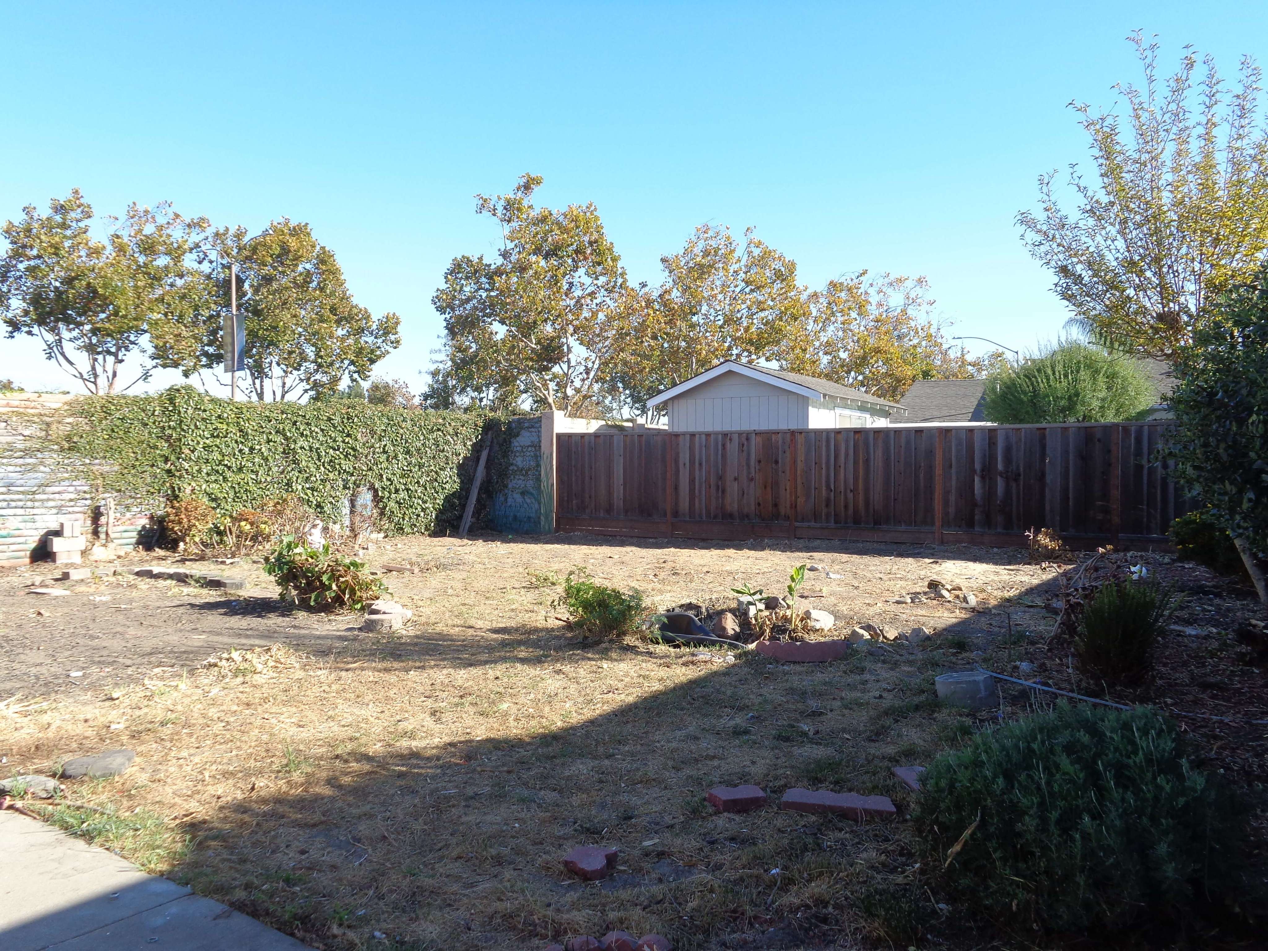 Yard