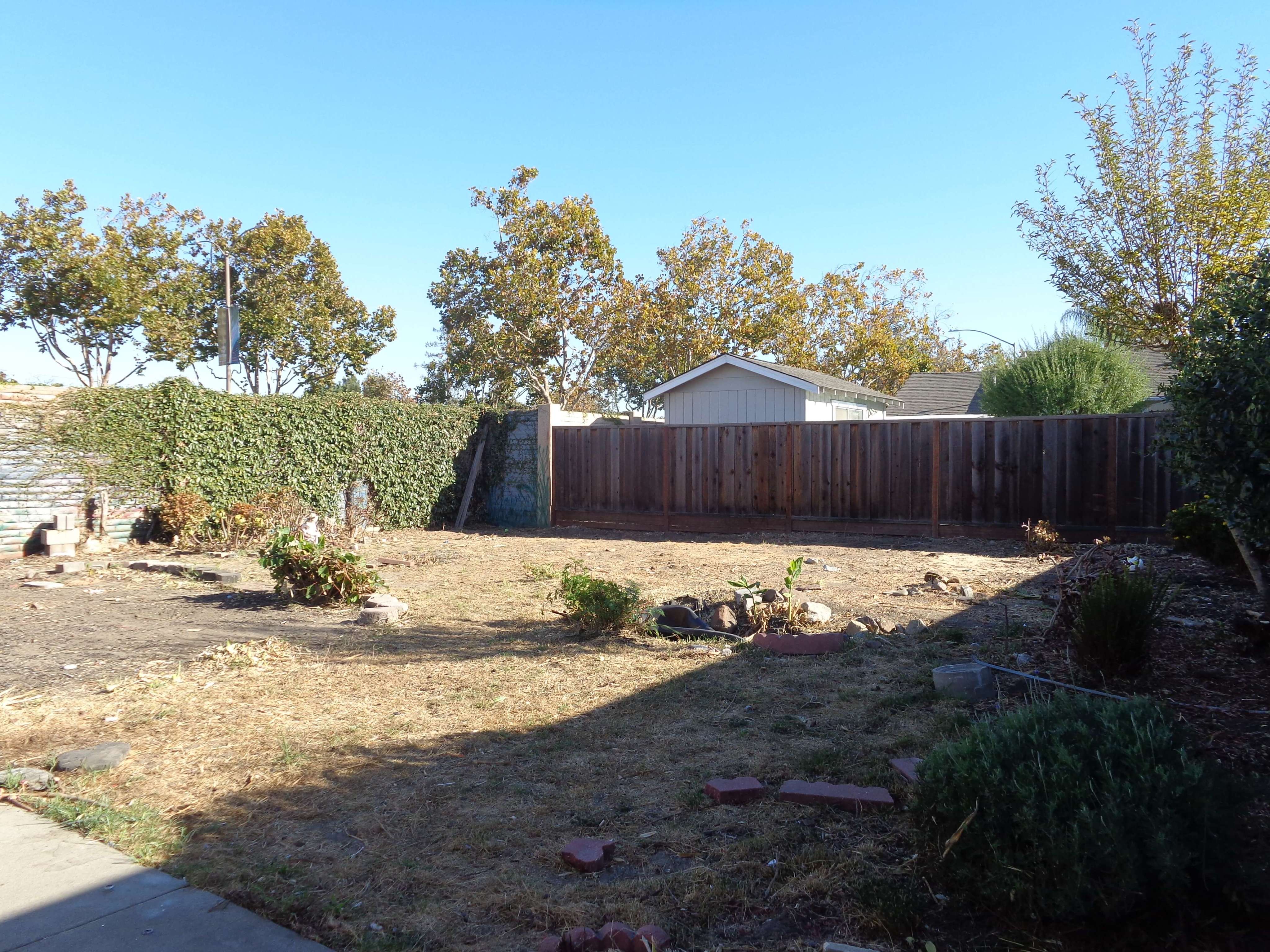 Yard
