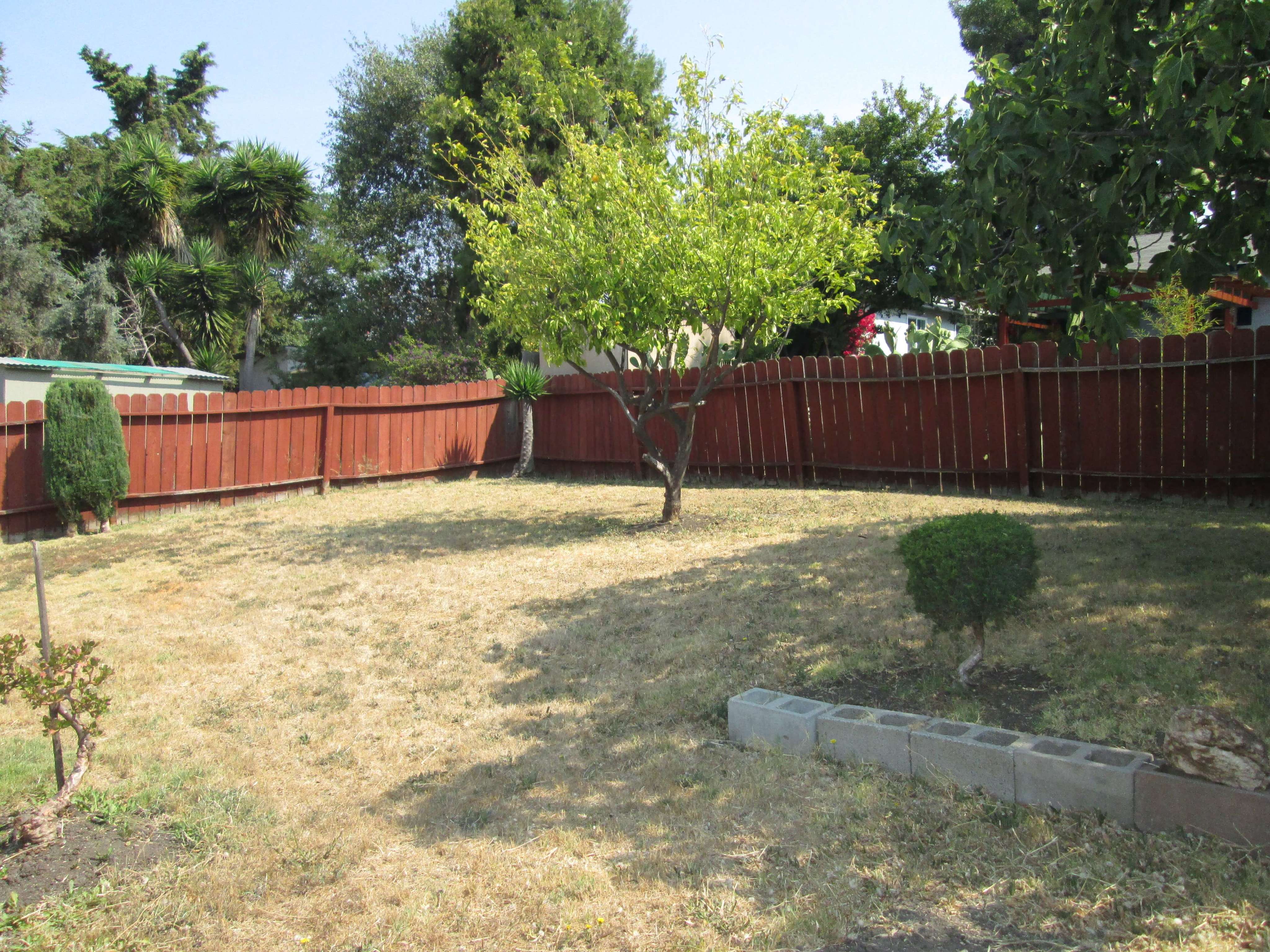Yard