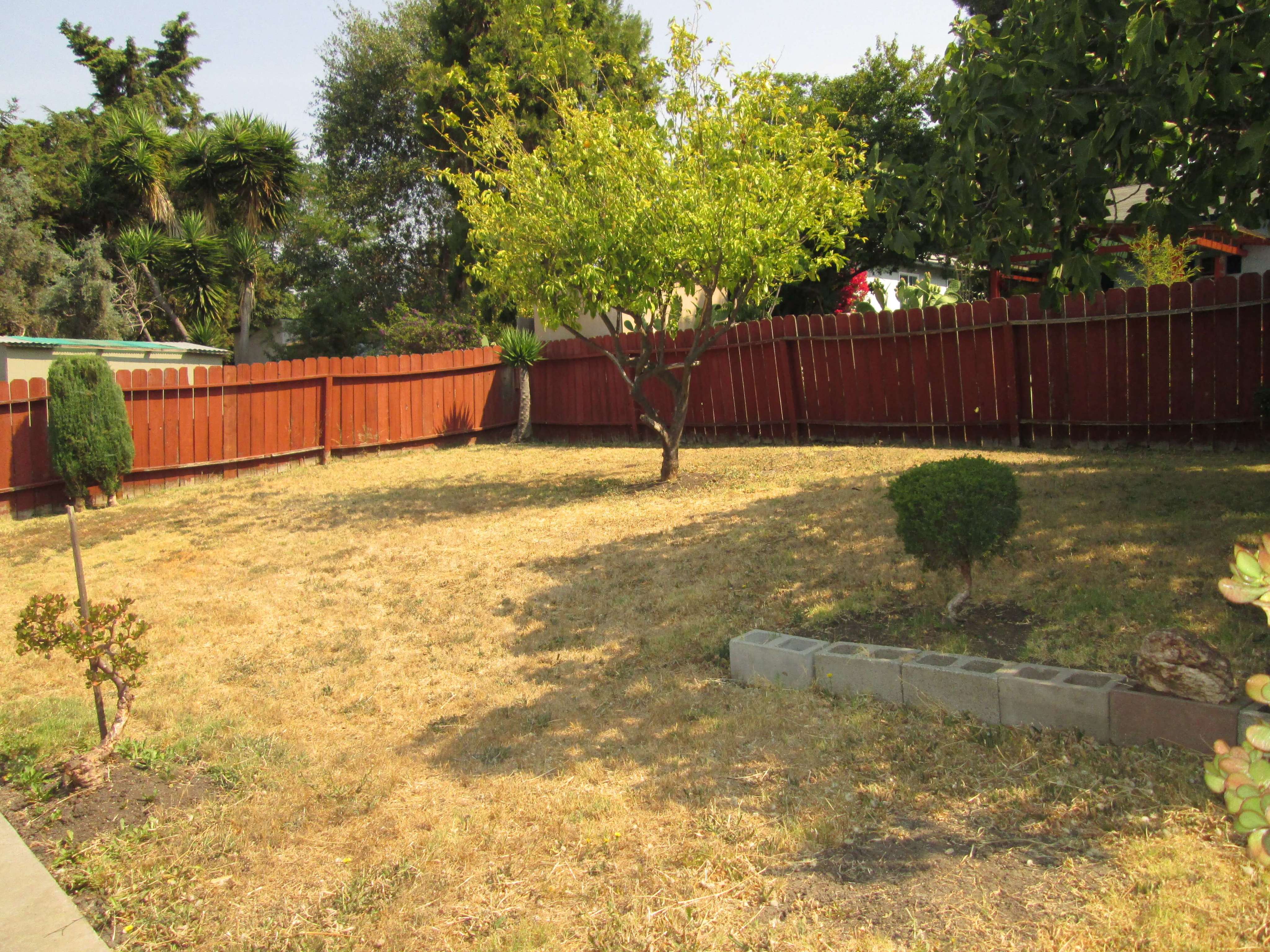 Yard